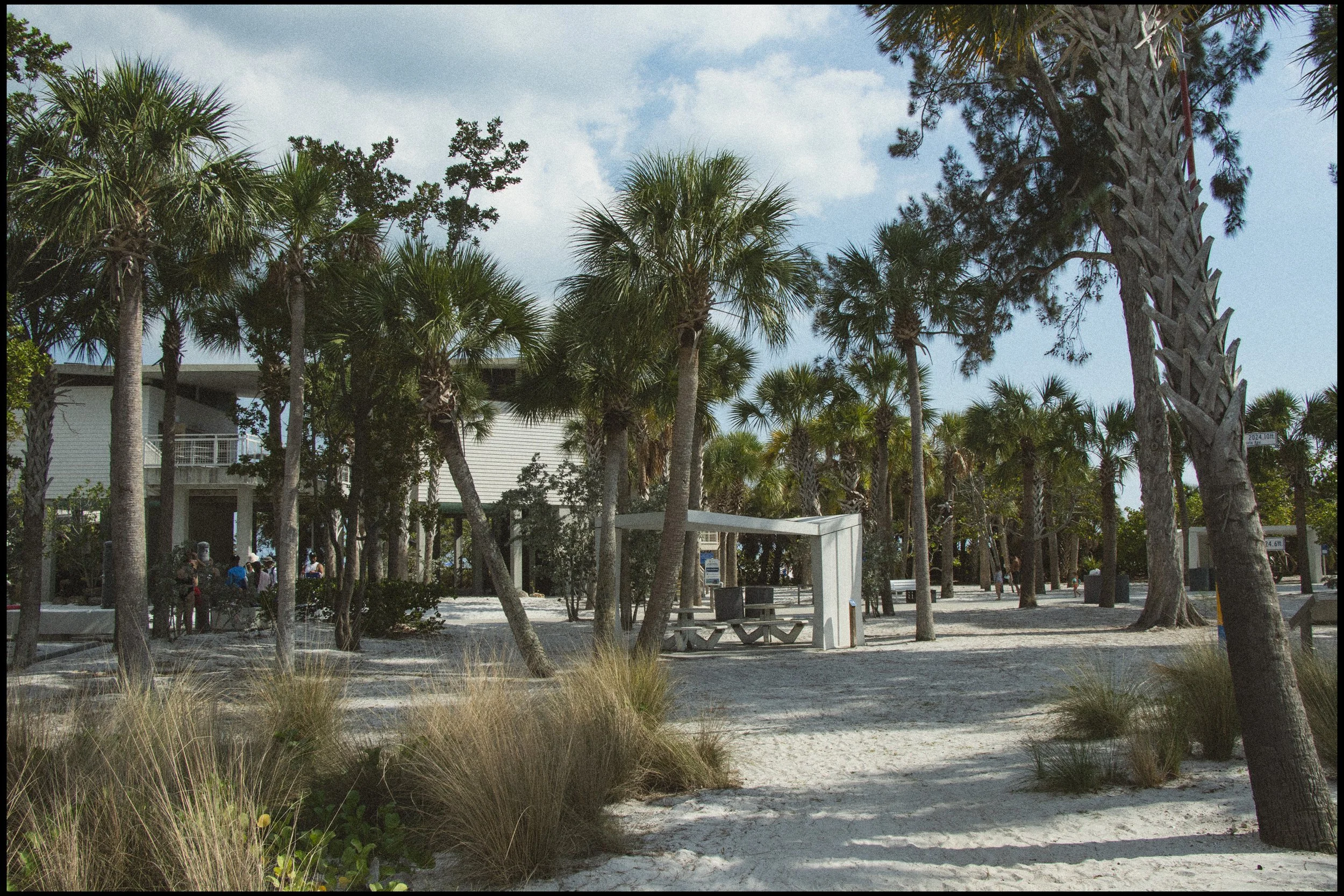 Beachside park with palm trees, sandy paths, and visitors enjoying the outdoors under a partly cloudy sky.