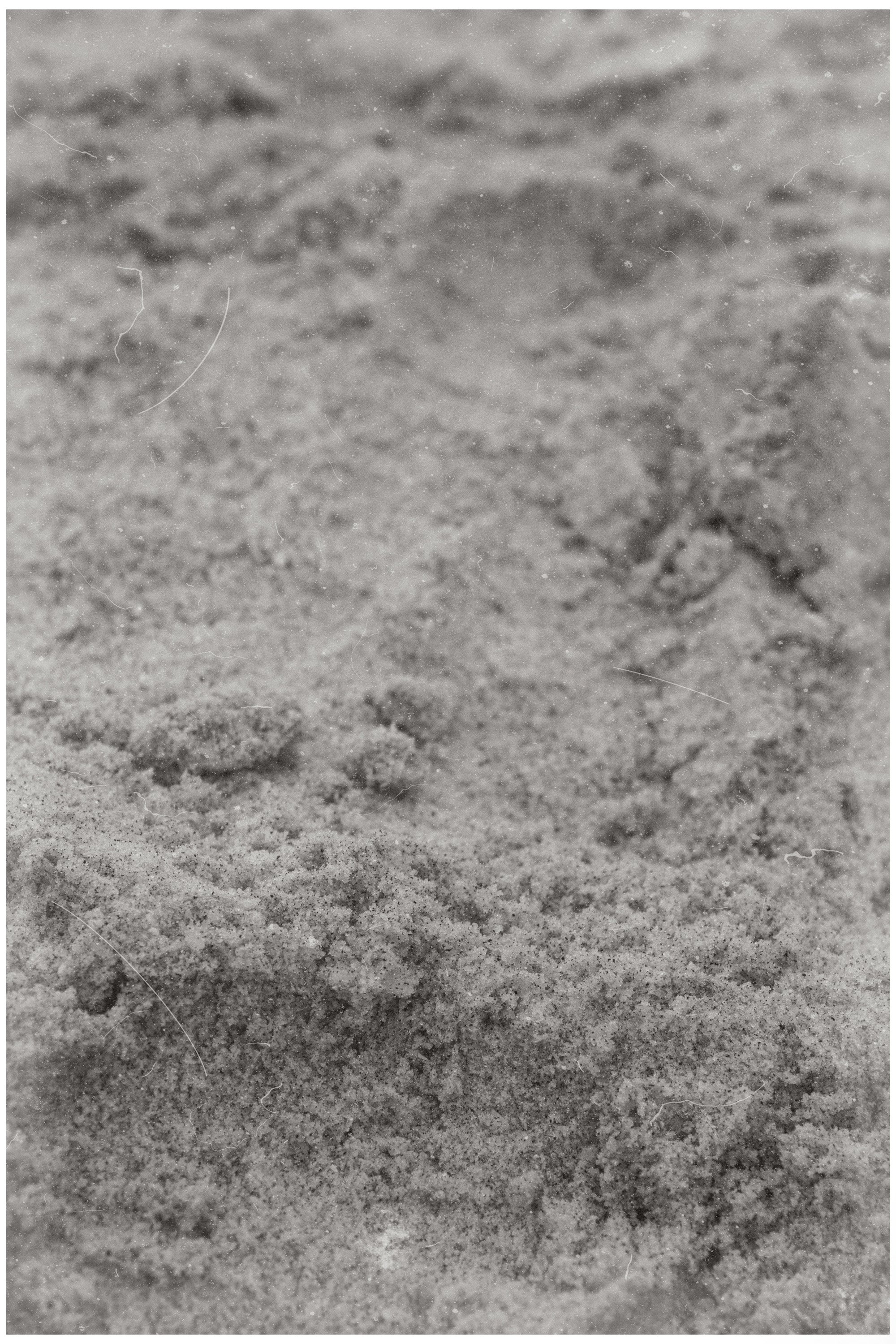 Close-up of a textured, sandy surface with small rocks and grains visible, in black and white.