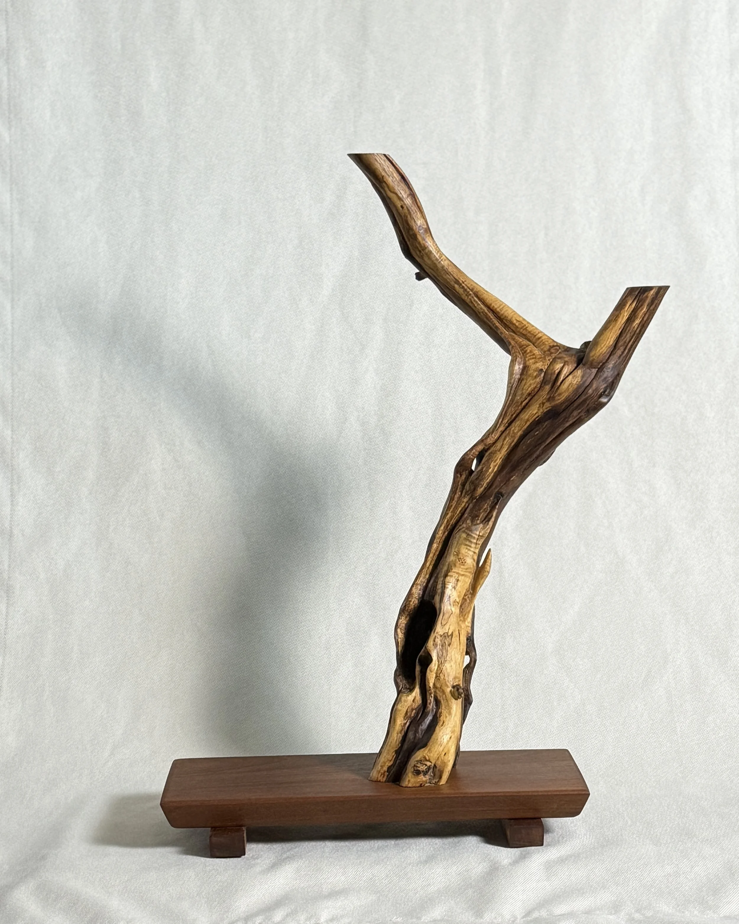 biophilic-wood-sculpture-back-beckerdzine-kansas-city.jpg