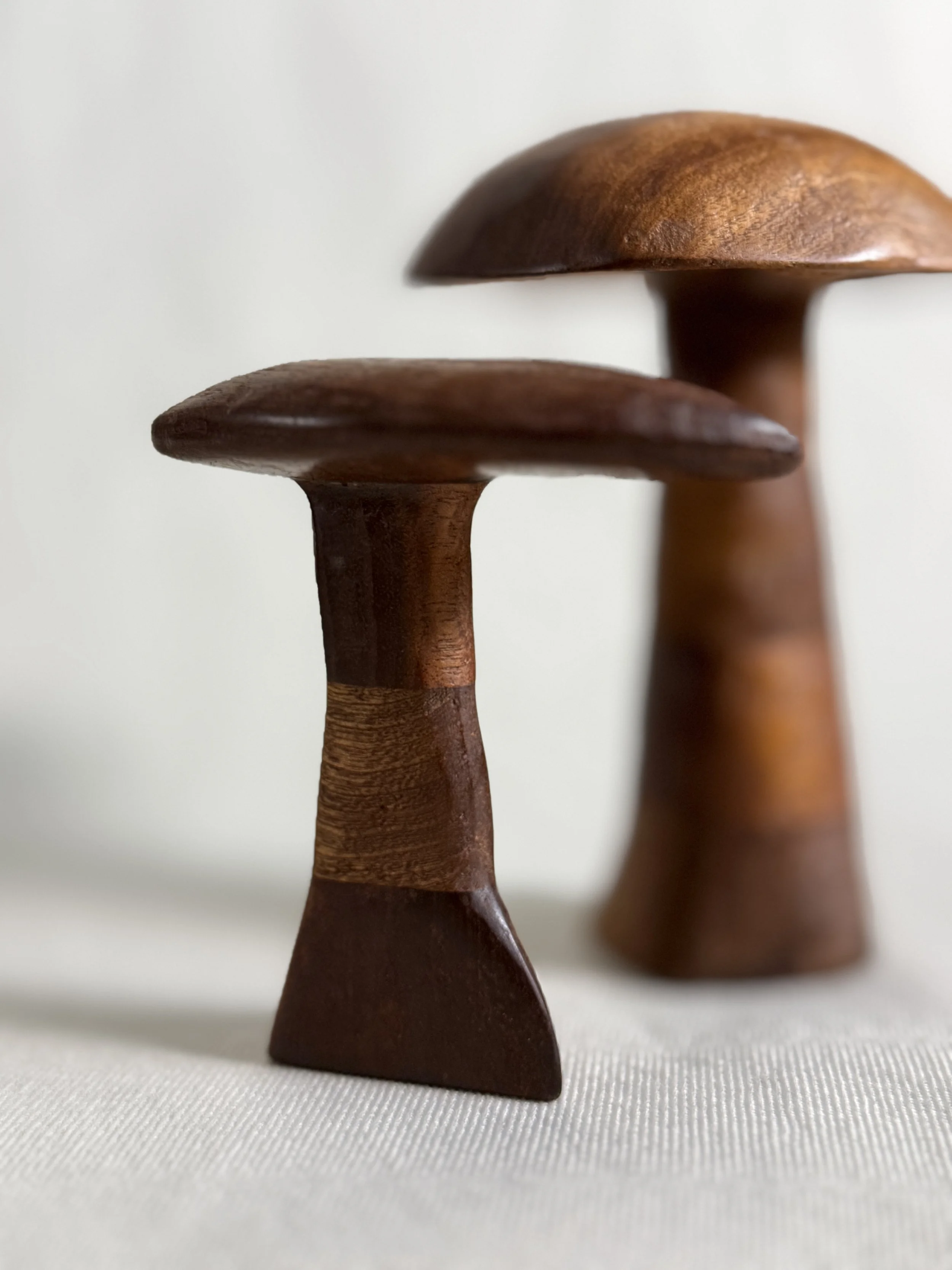 carved-wood-mushroom-pair-close-up-2-beckerdzine-kansas-city.JPG