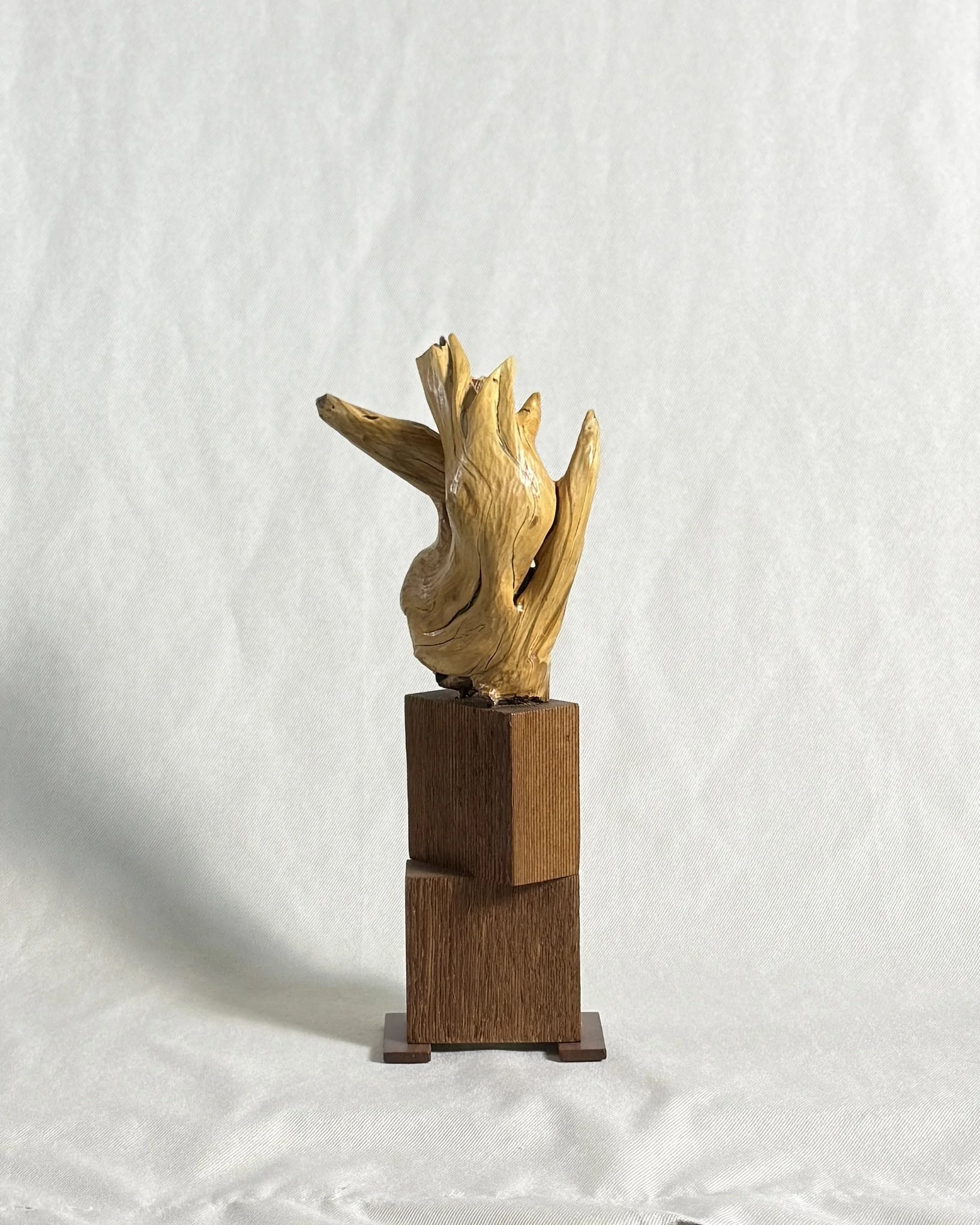 abstract-driftwood-sculpture-back-beckerdzine-kansas-city.jpg