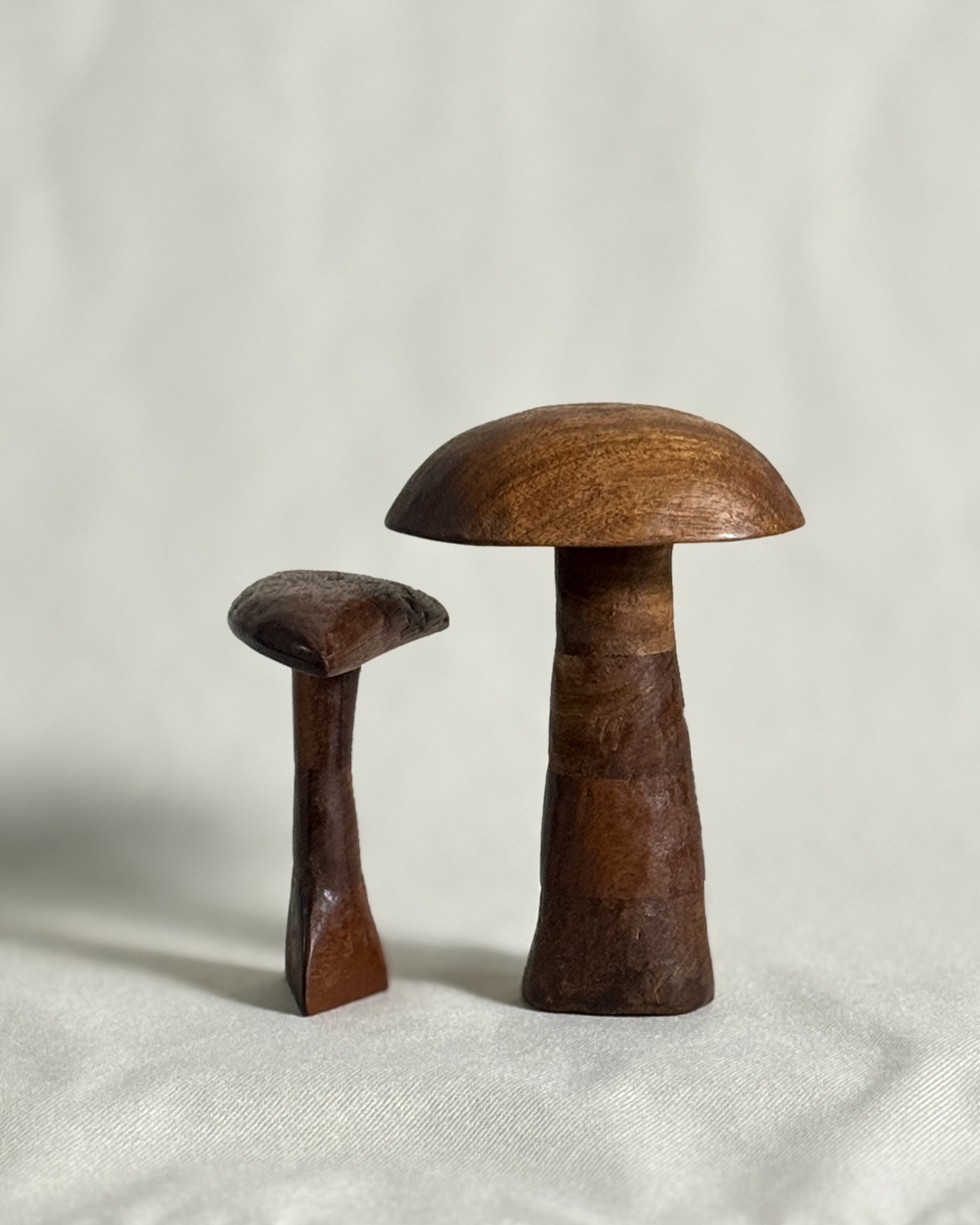 carved-wood-mushroom-pair-beckerdzine-kansas-city.jpg