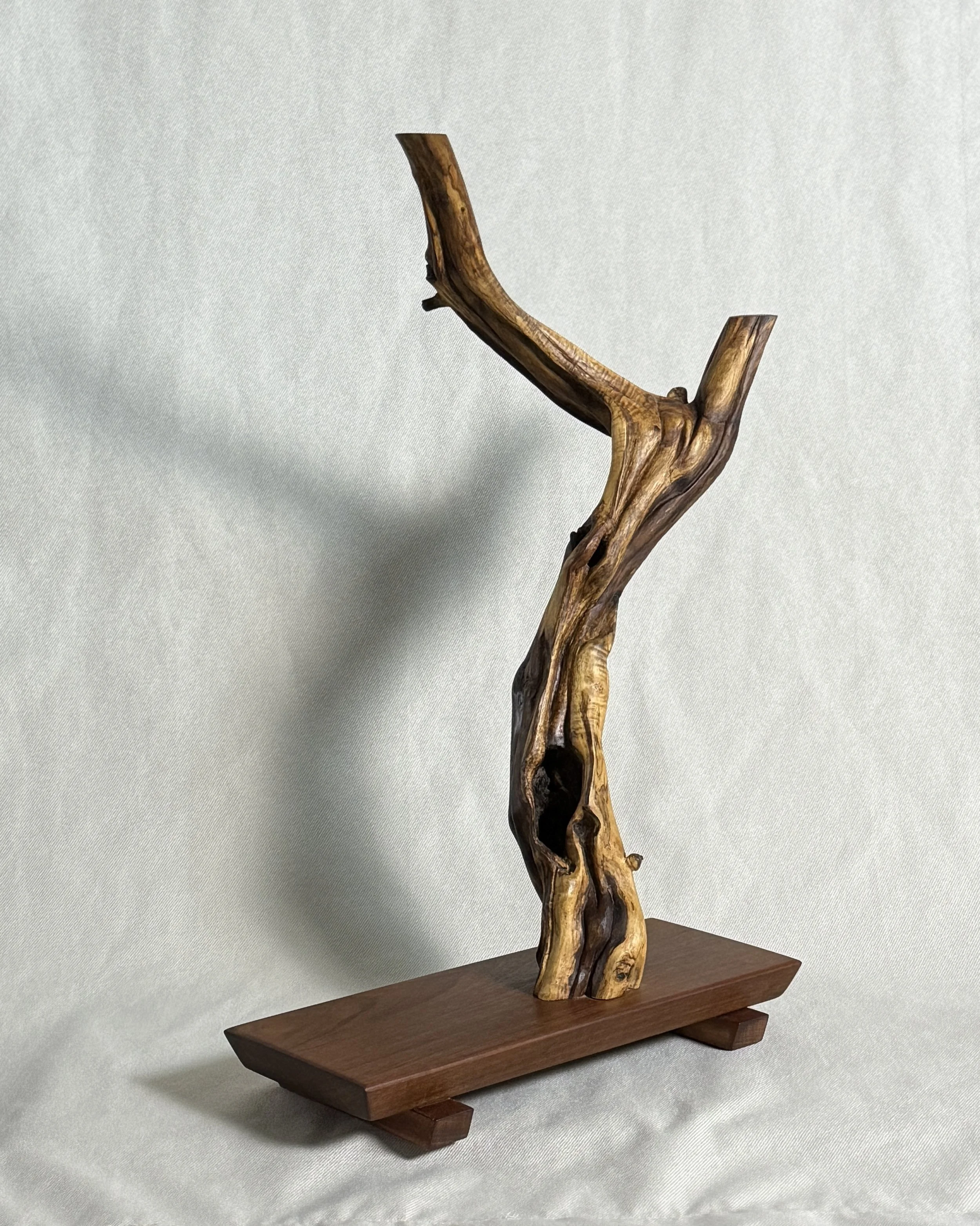 biophilic-wood-sculpture-left-beckerdzine-kansas-city.jpg