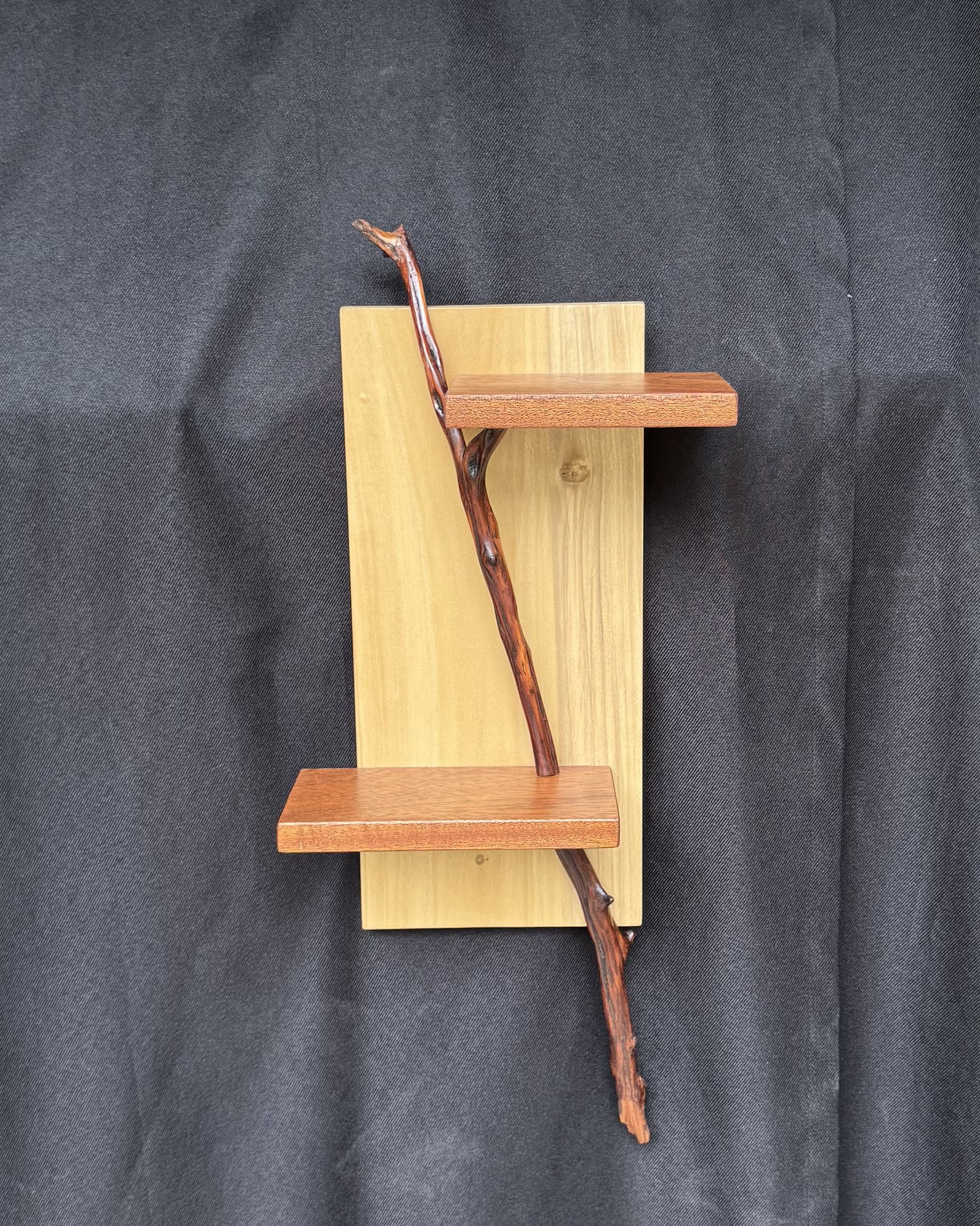 Branch Form Shelf.jpeg