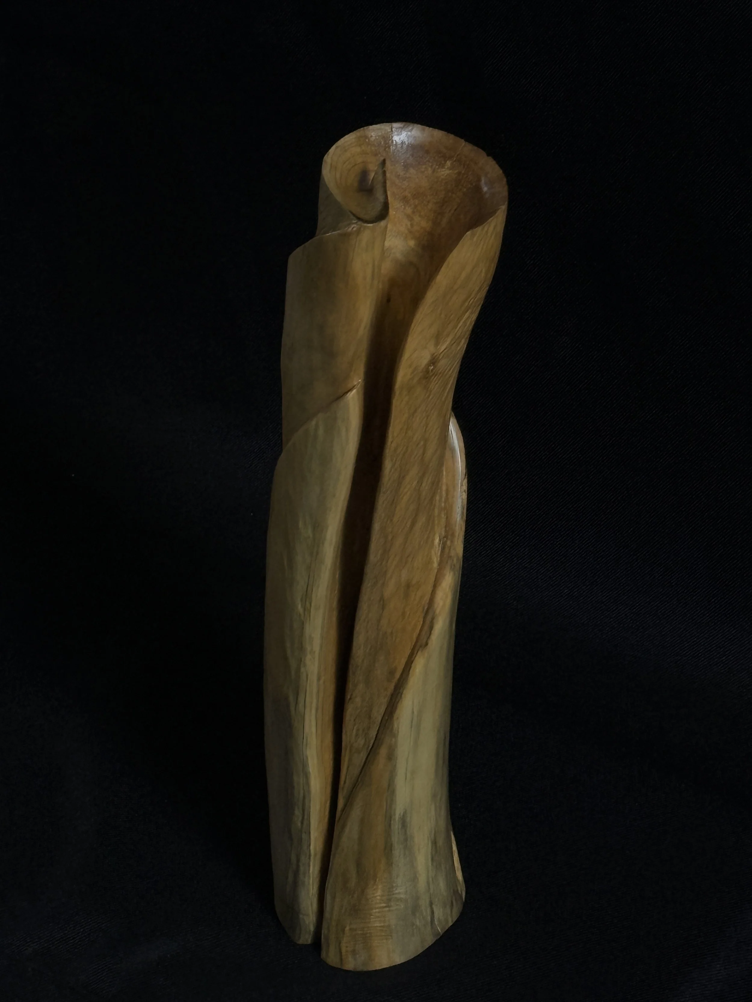 biophilic-cleft-wood-sculpture-top-down-view-beckerdzine-kansas-city.JPG