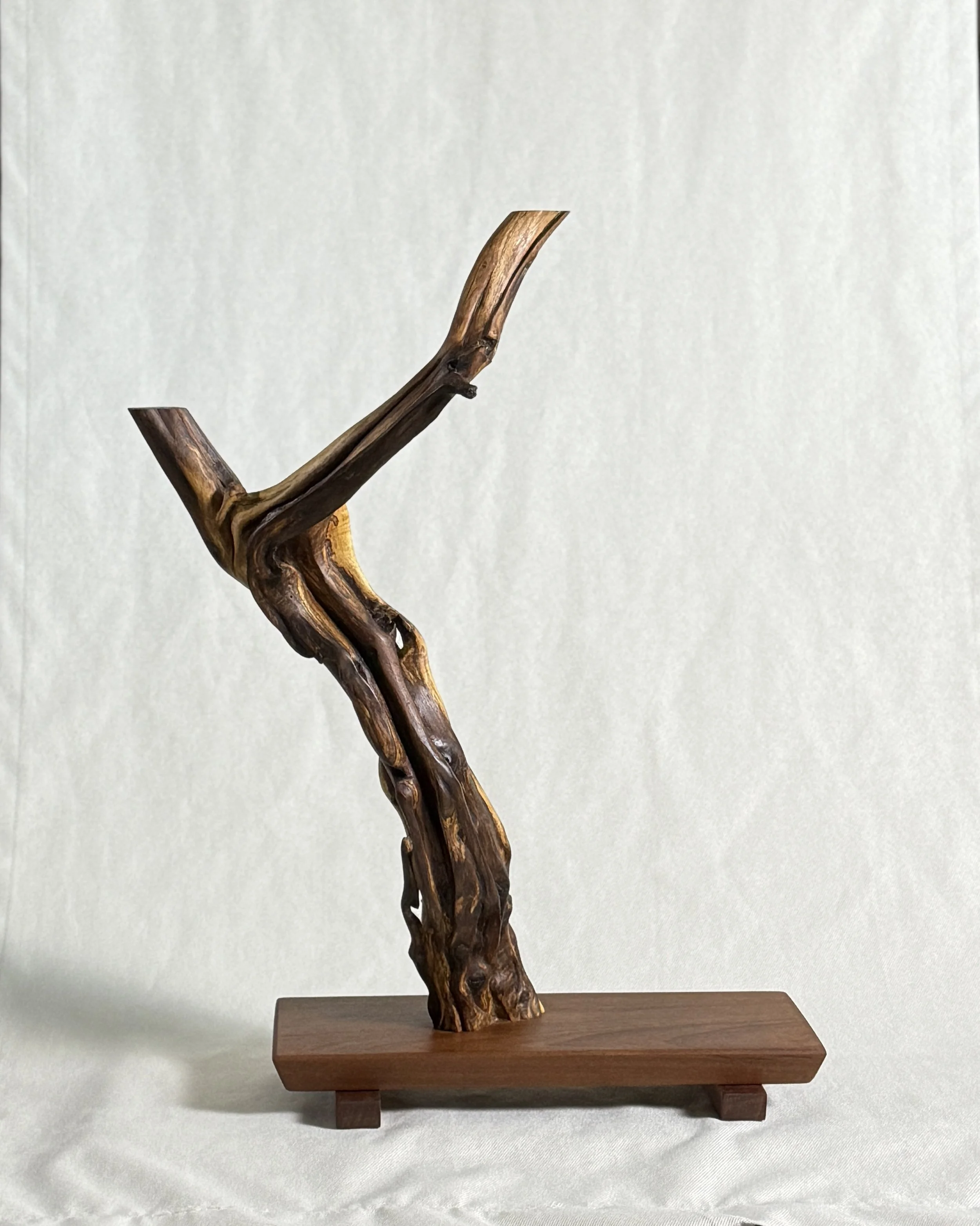 biophilic-wood-sculpture-front-beckerdzine-kansas-city.jpg