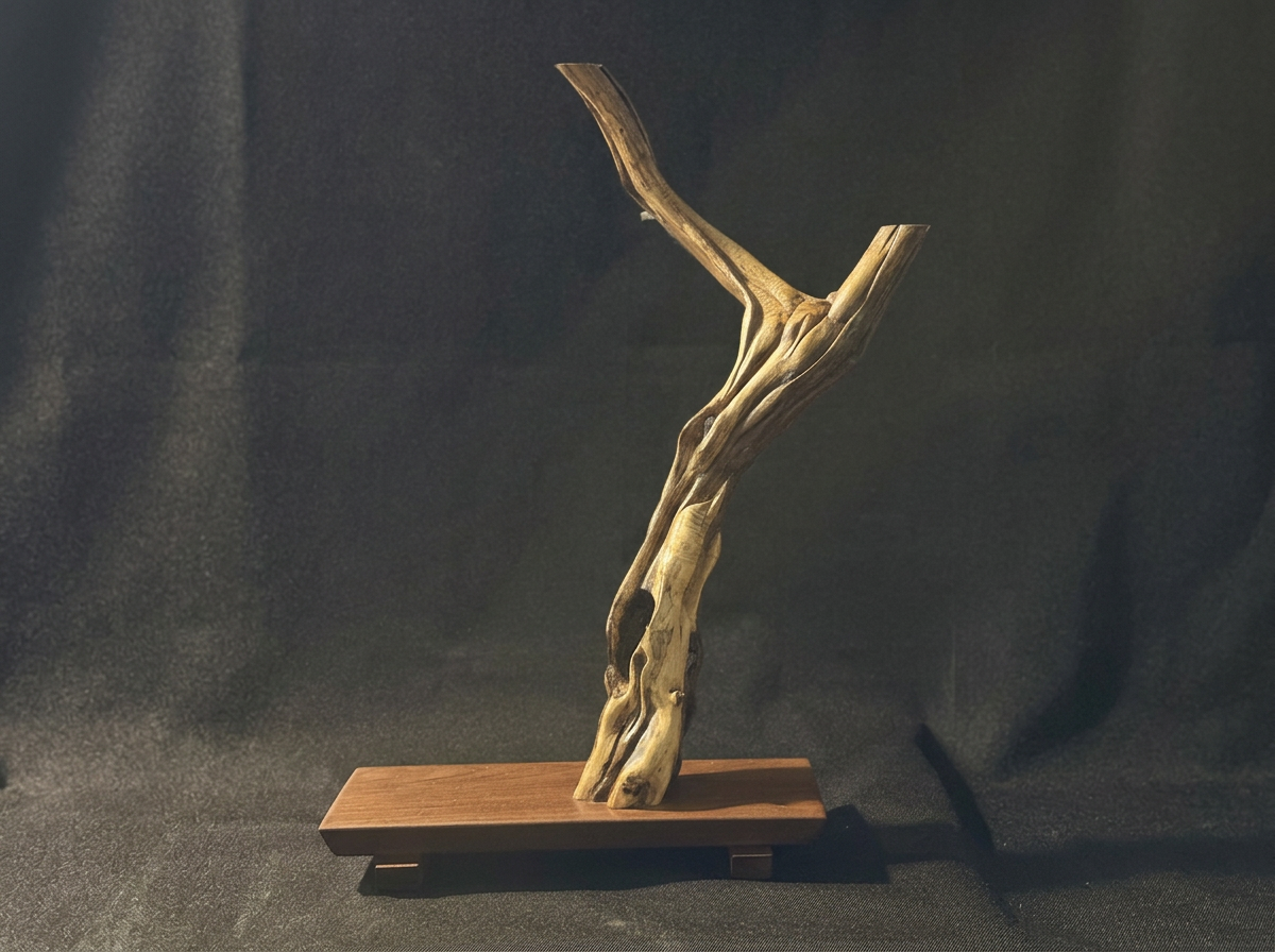 Ascend - Biophilic Natural Wood Sculpture by BeckerDzine Kansas City