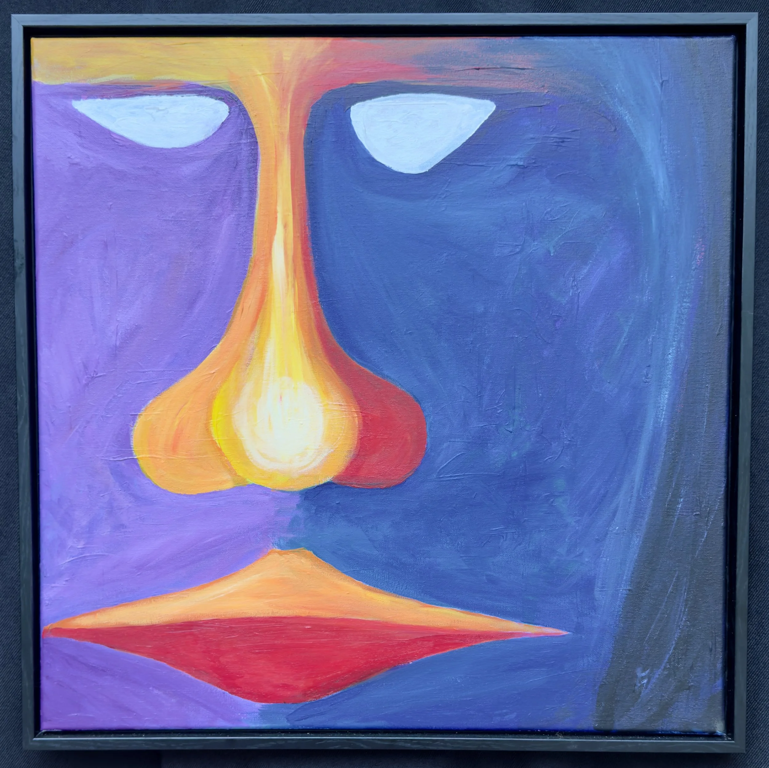 Face in Flux