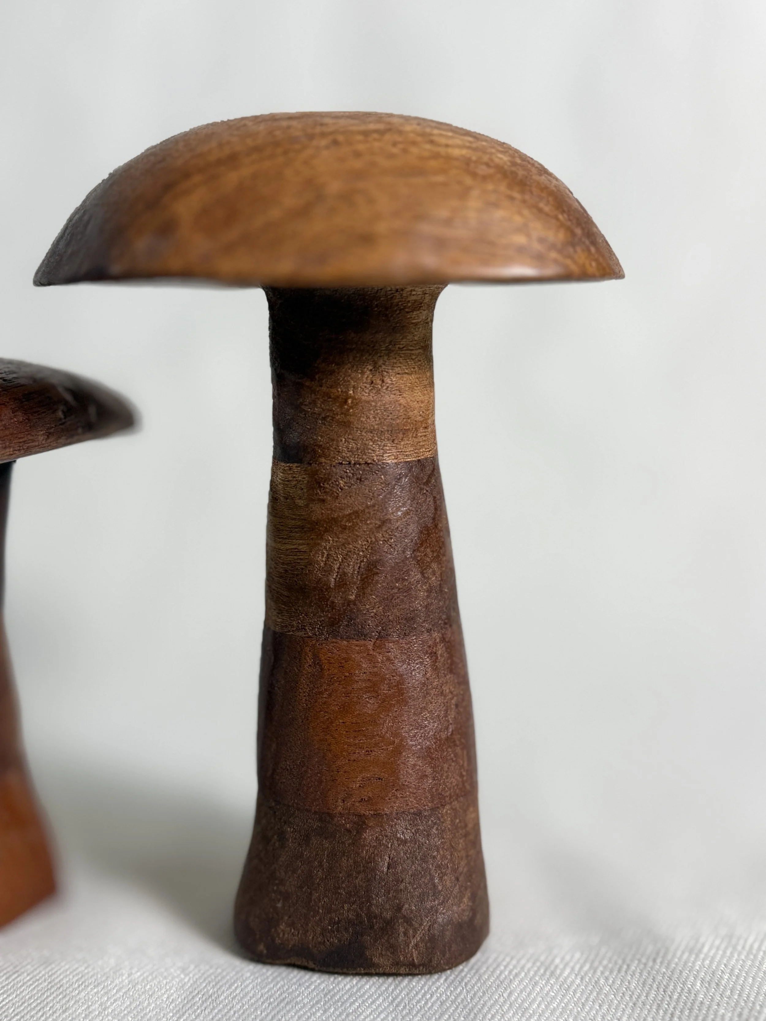 carved-wood-mushroom-pair-close-up-1-beckerdzine-kansas-city.JPG