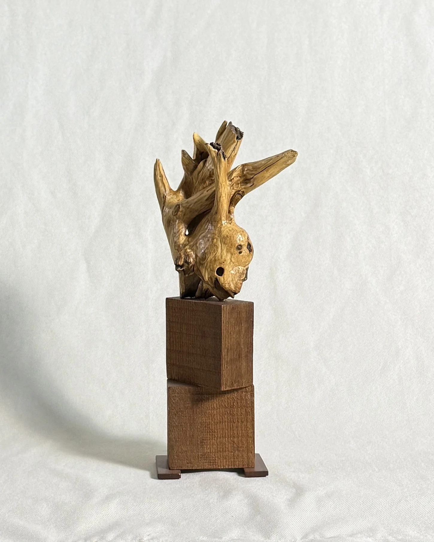 abstract-driftwood-sculpture-beckerdzine-kansas-city.jpg