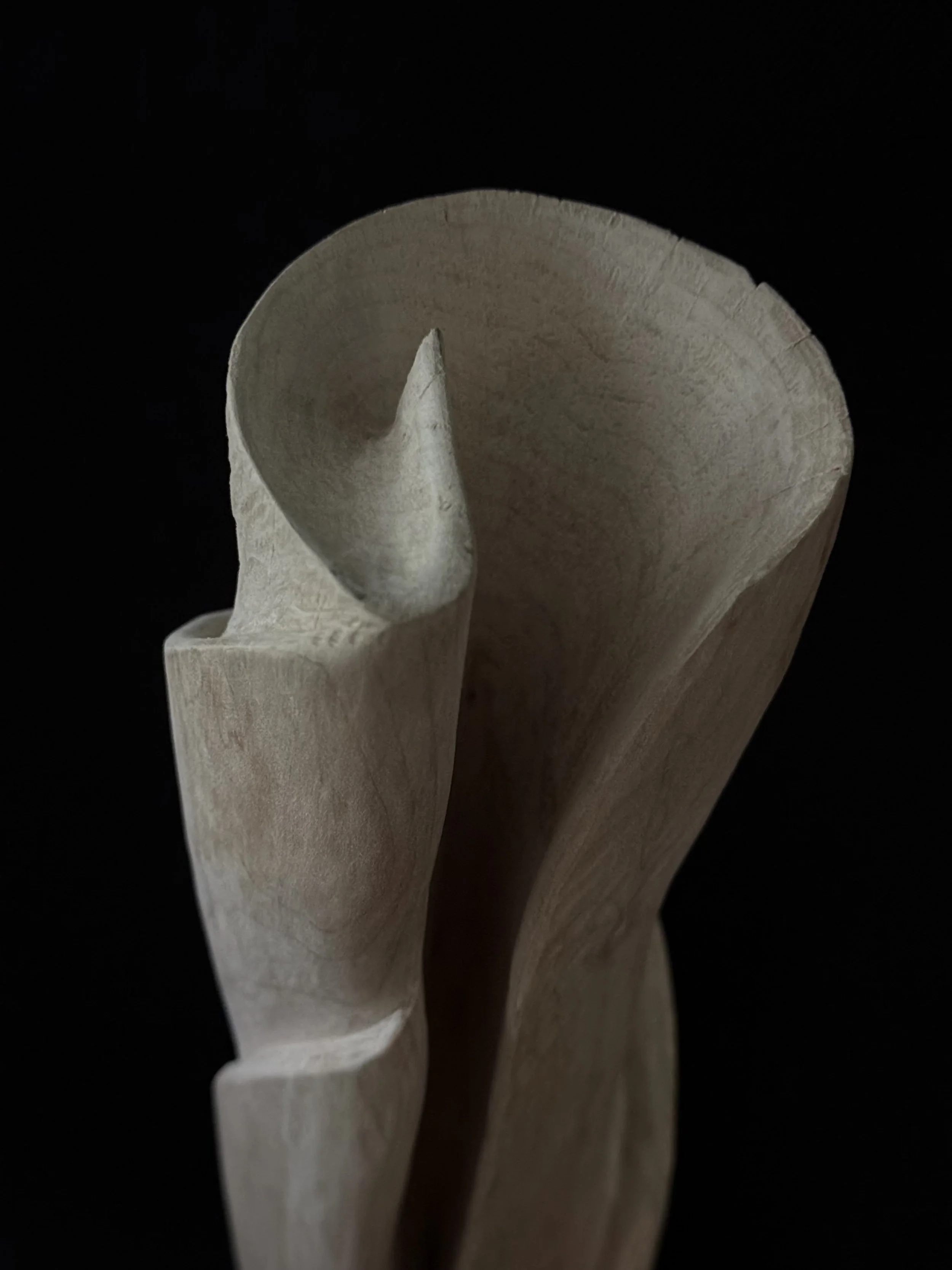 Hand-carved biophilic wood sculpture showcasing a detailed top-down view of the organic unfurling vortex curves by BeckerDzine in Kansas City