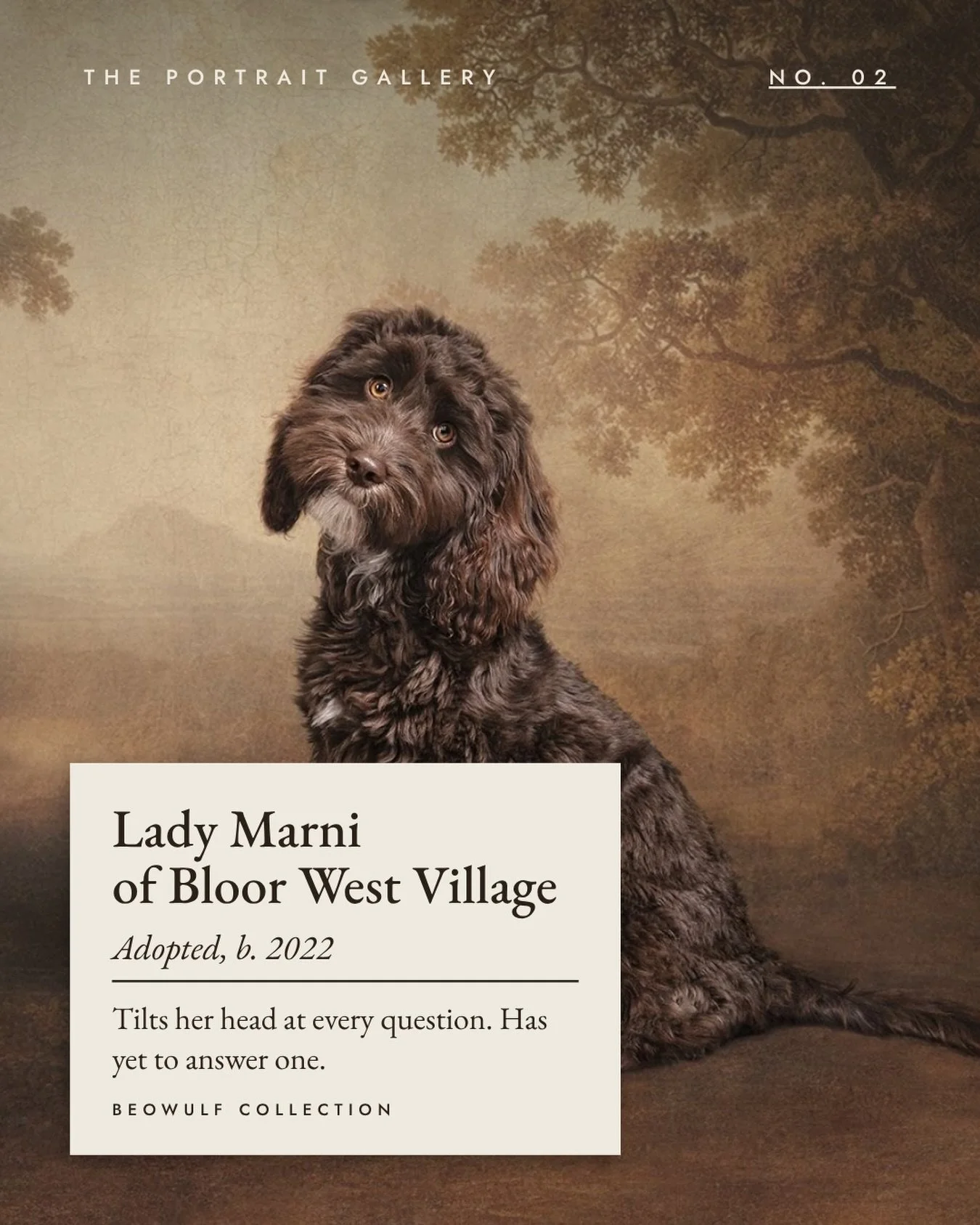 The Portrait Gallery, No. 02
Photographed on our Heritage set, against a painted landscape backdrop.

Which noble title would your dog have? Tell us what it would be in the comments.

Heritage sittings are open year-round. Book through the link in bi
