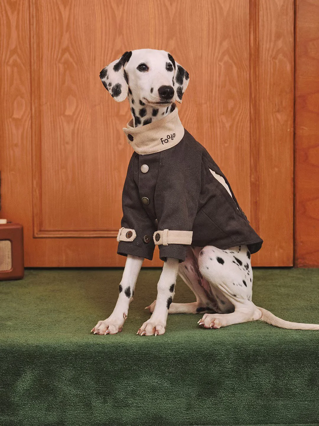 XXIXIN-PET-66.jpg