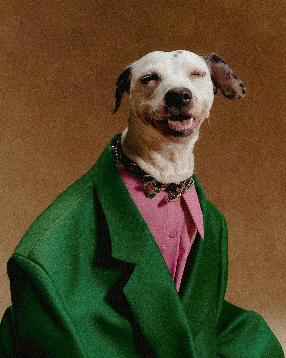 XXIXIN-PET.jpg