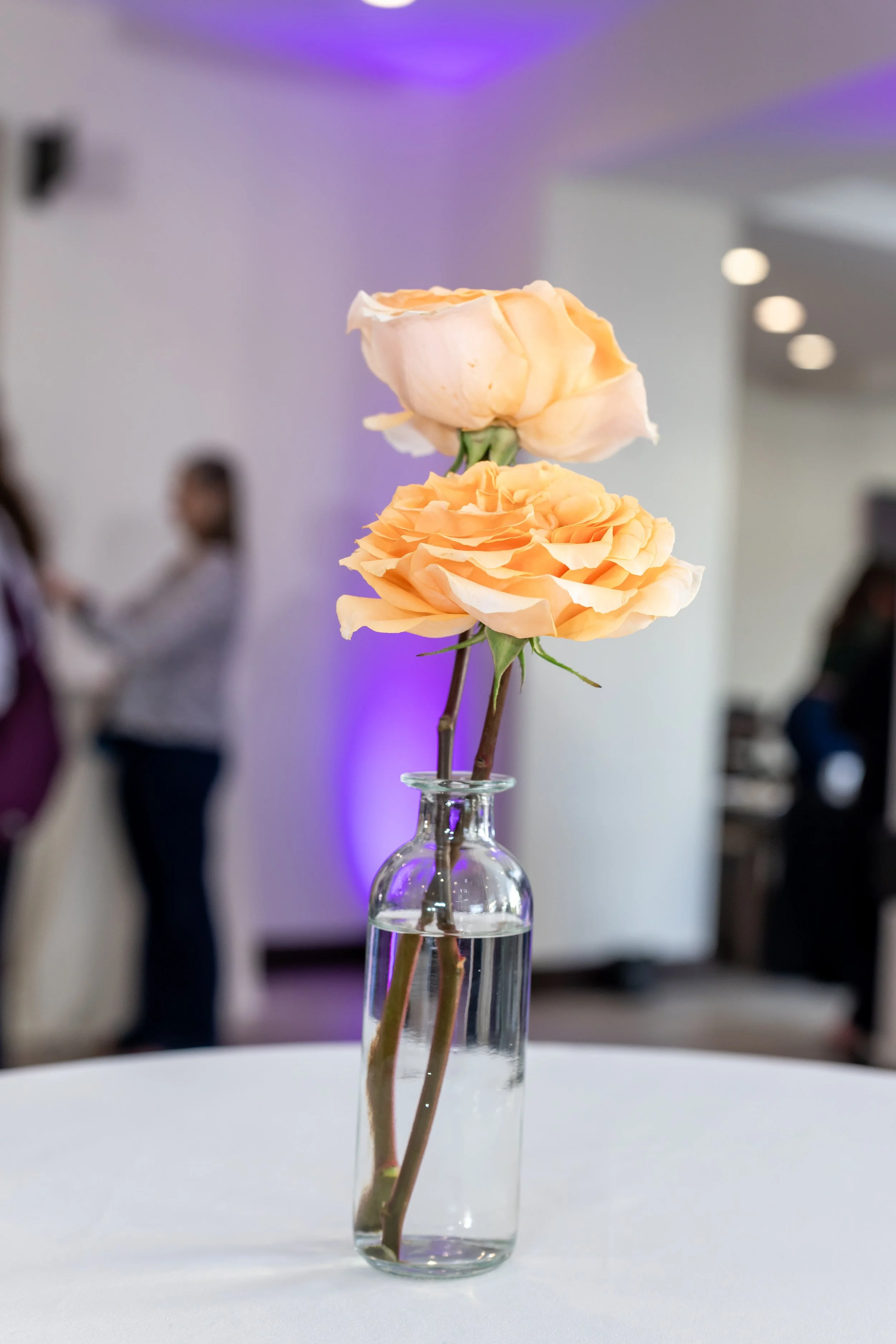 A clear glass vase with water holding two peach-colored roses, set on a white surface, with blurred background of people and purple lighting.