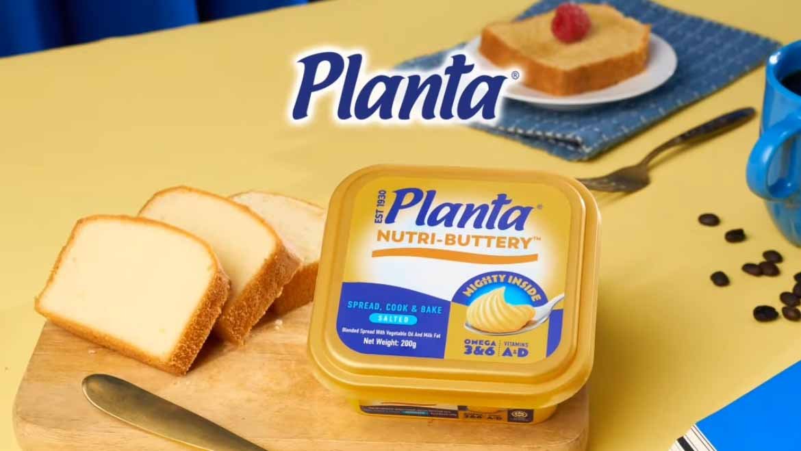 Planta Ambient Melange
