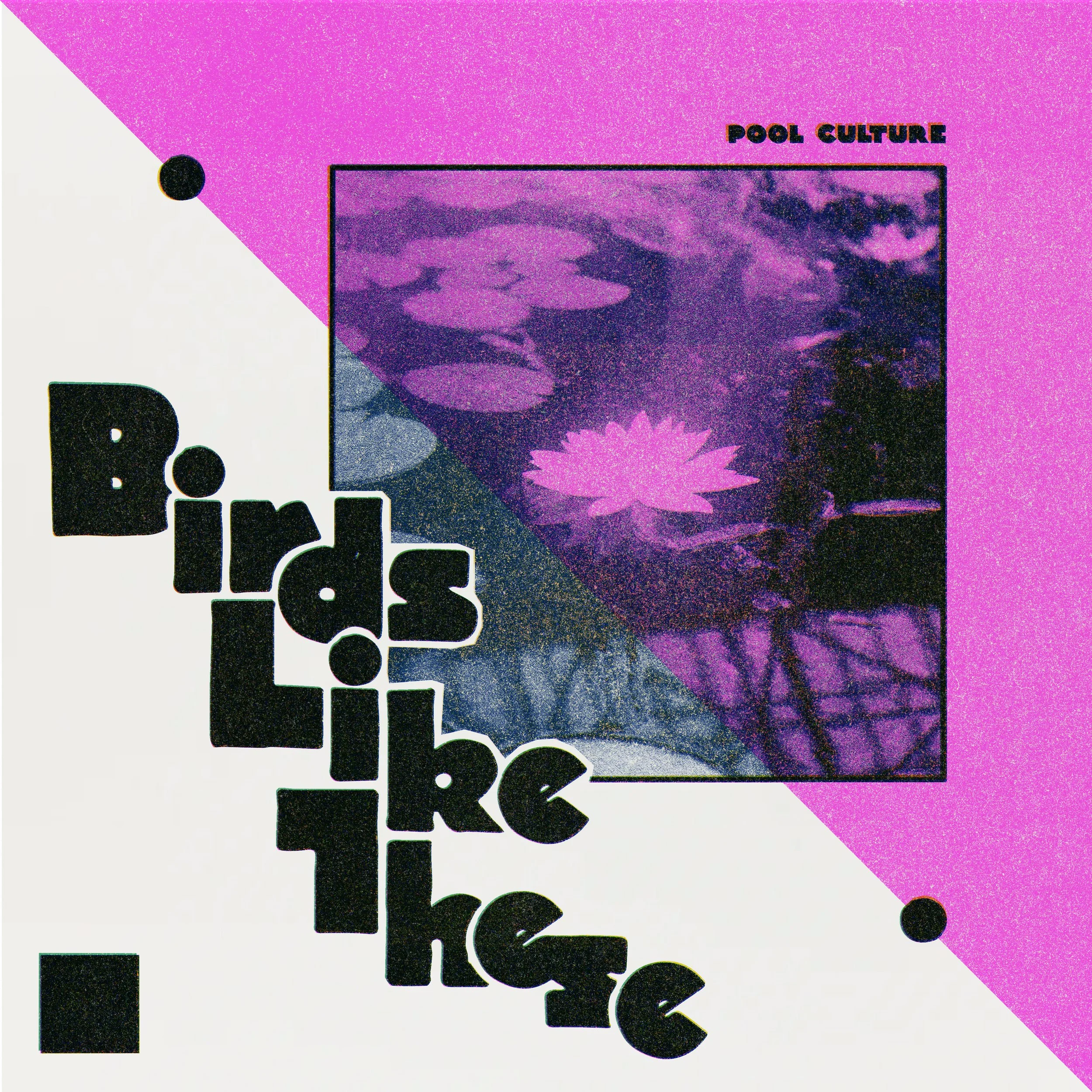 Album cover for "Birds Like These" single by Pool Culture