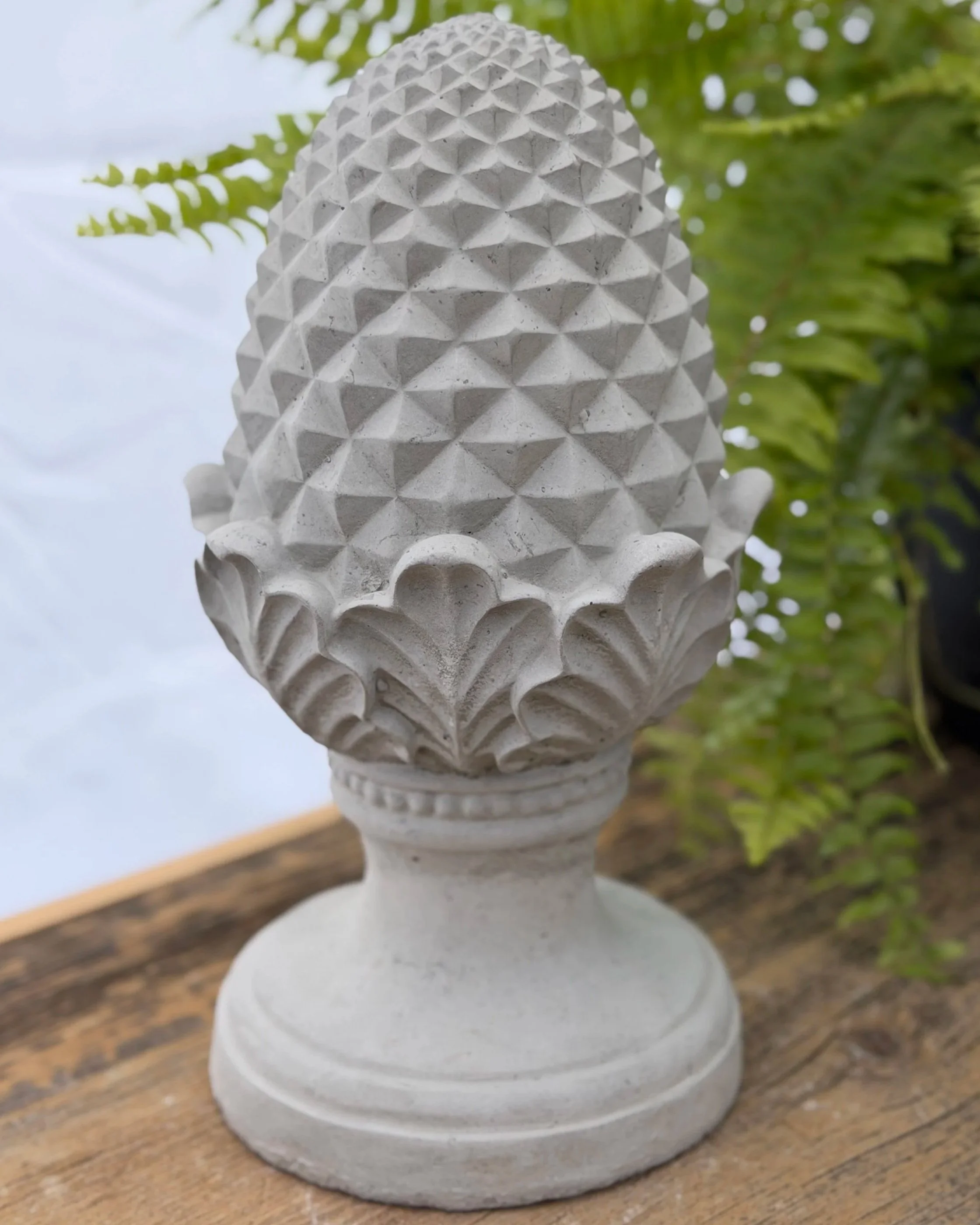 small fancy leaf pineapple