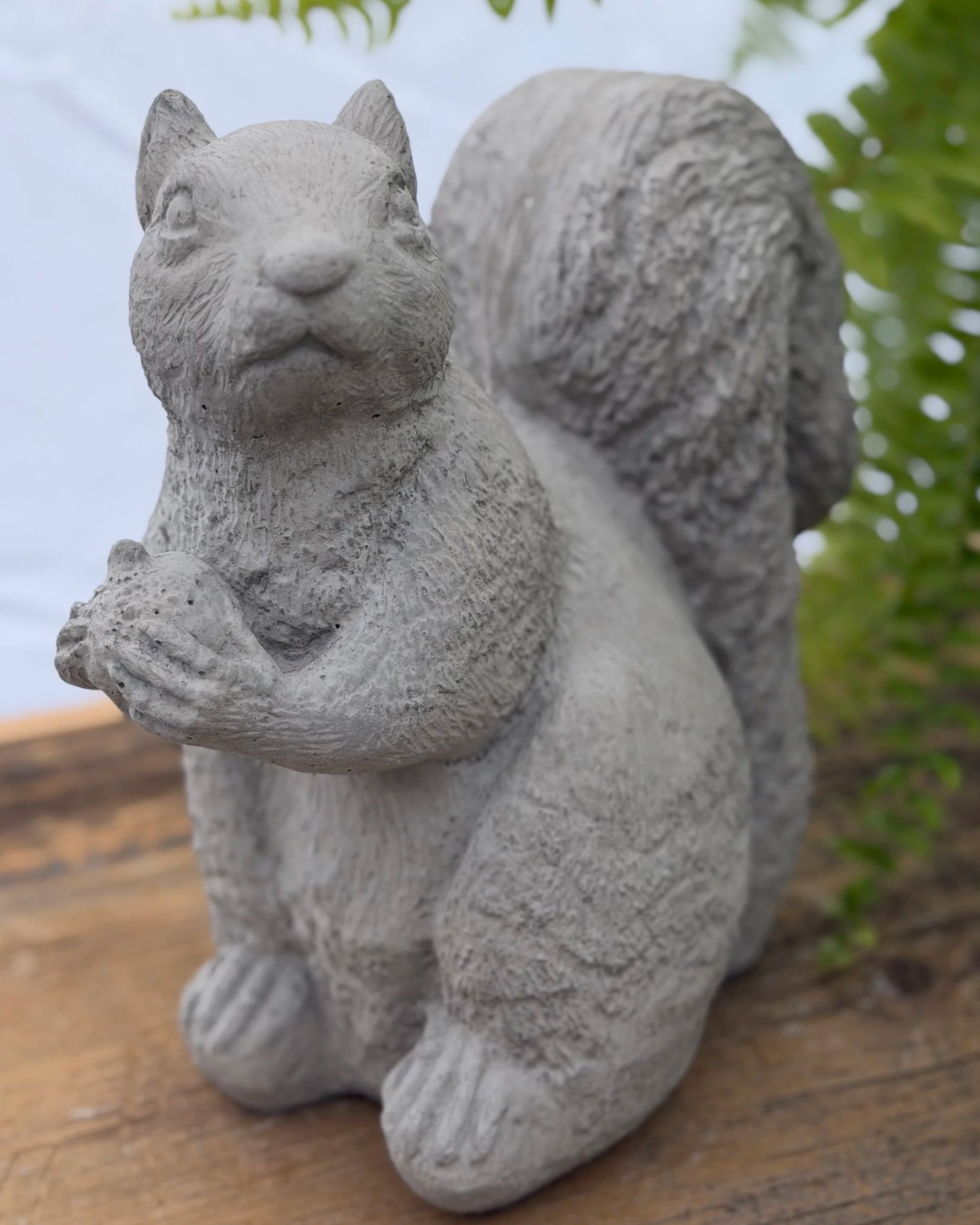 bushy tail squirrel