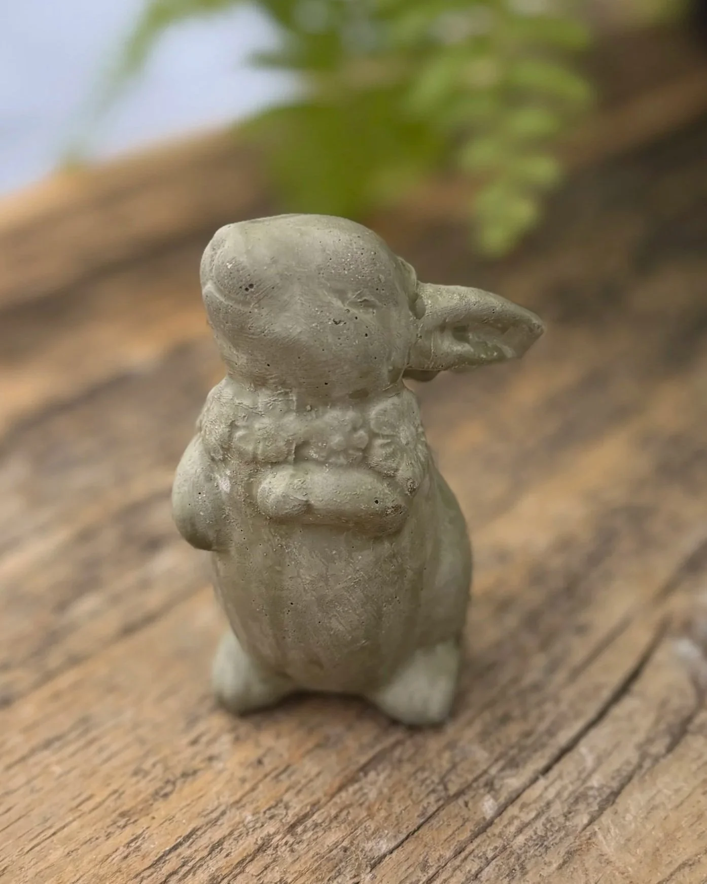 tiny bunny sitting ears down