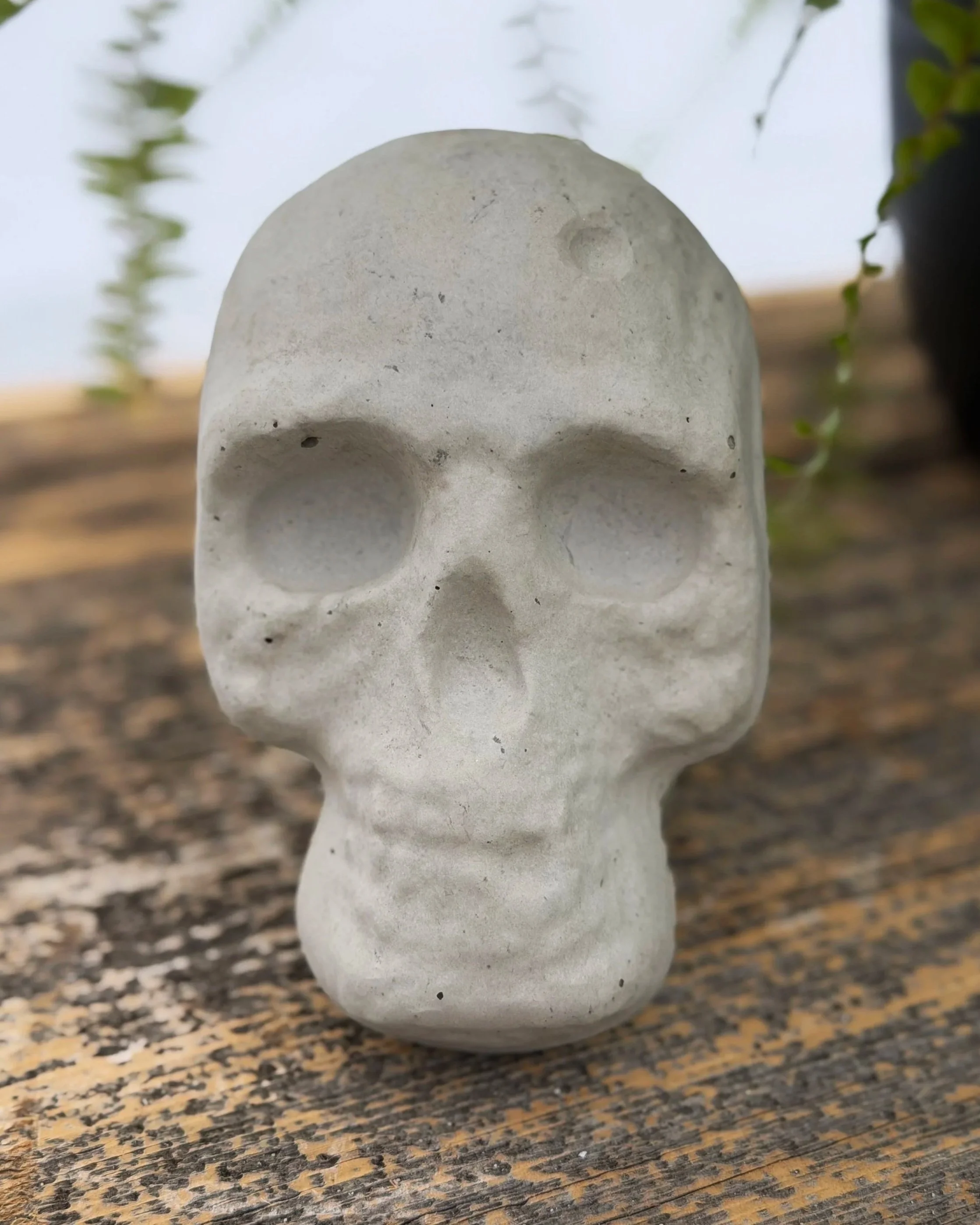 skull plaque