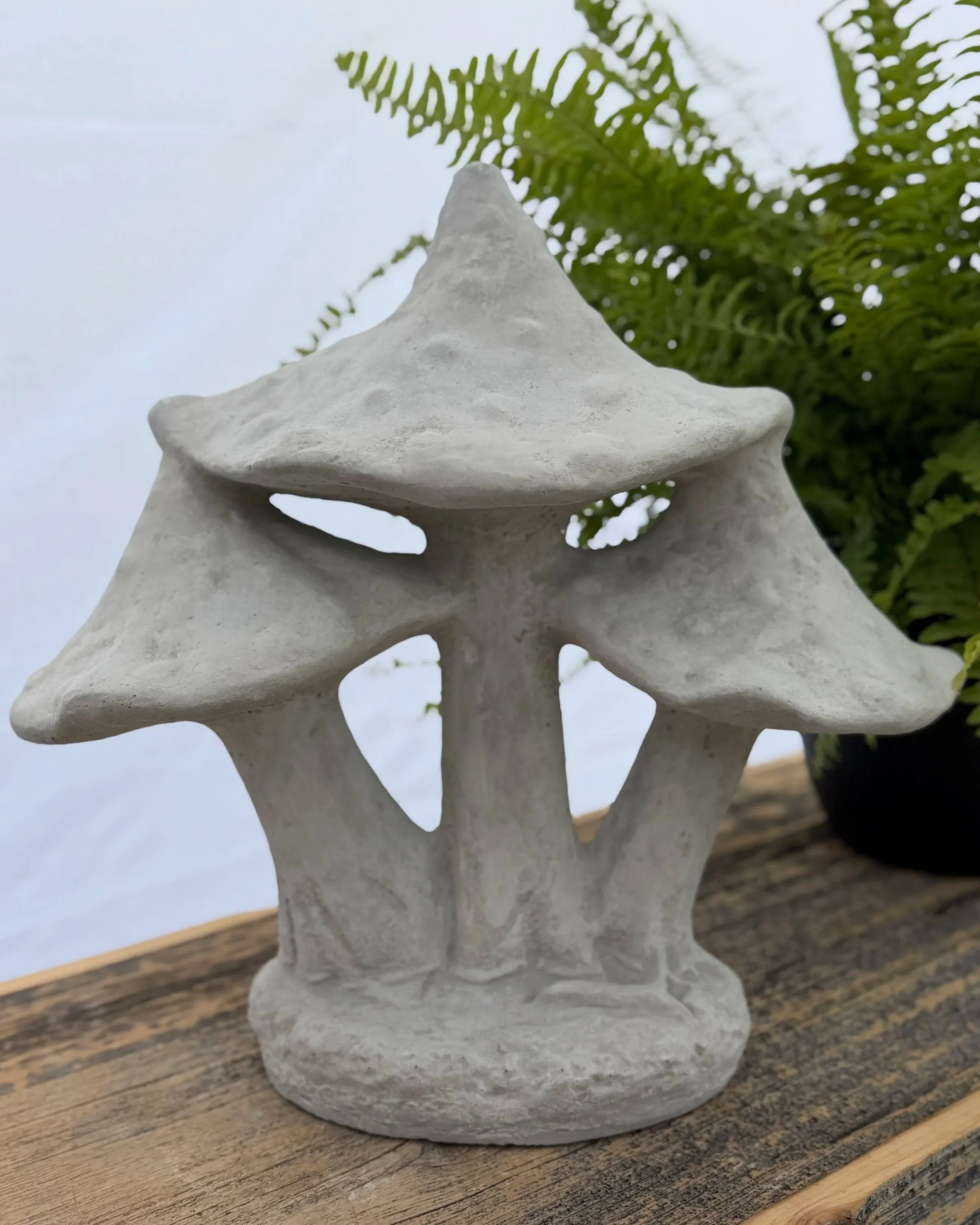 large triple mushrooms