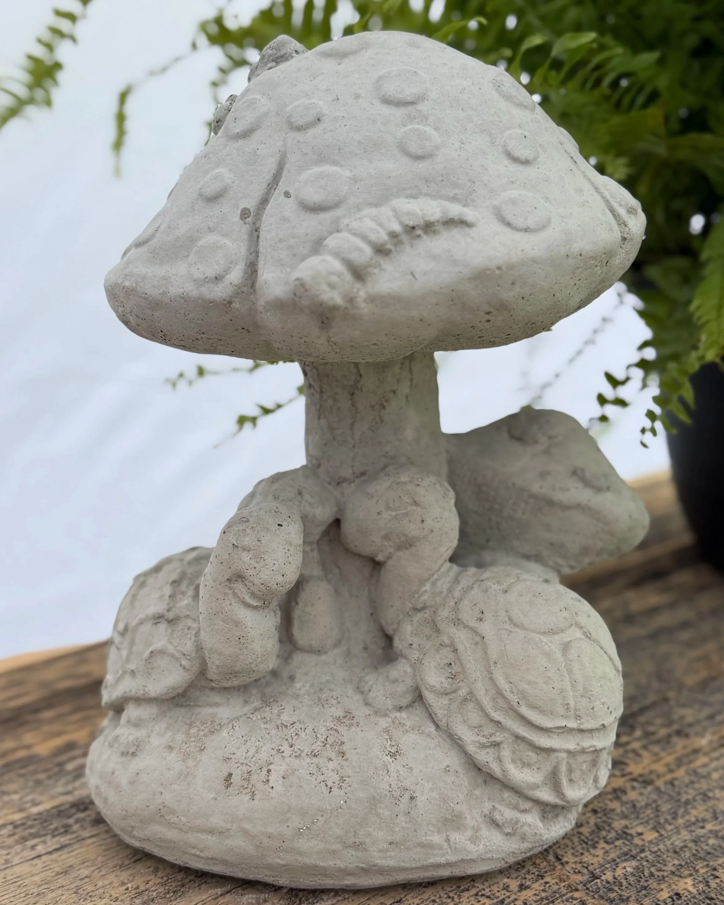 turtles under mushroom