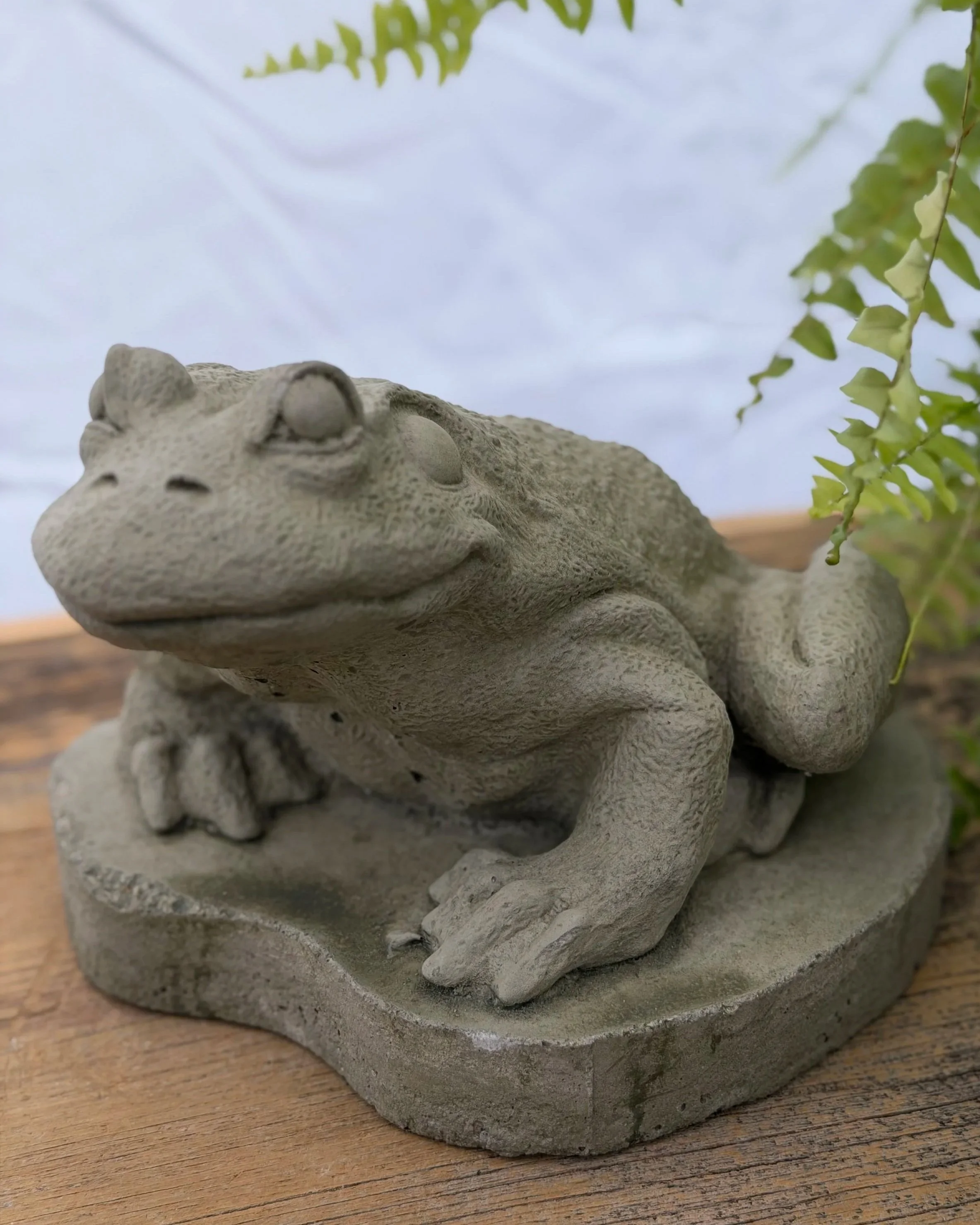 medium frog on pad