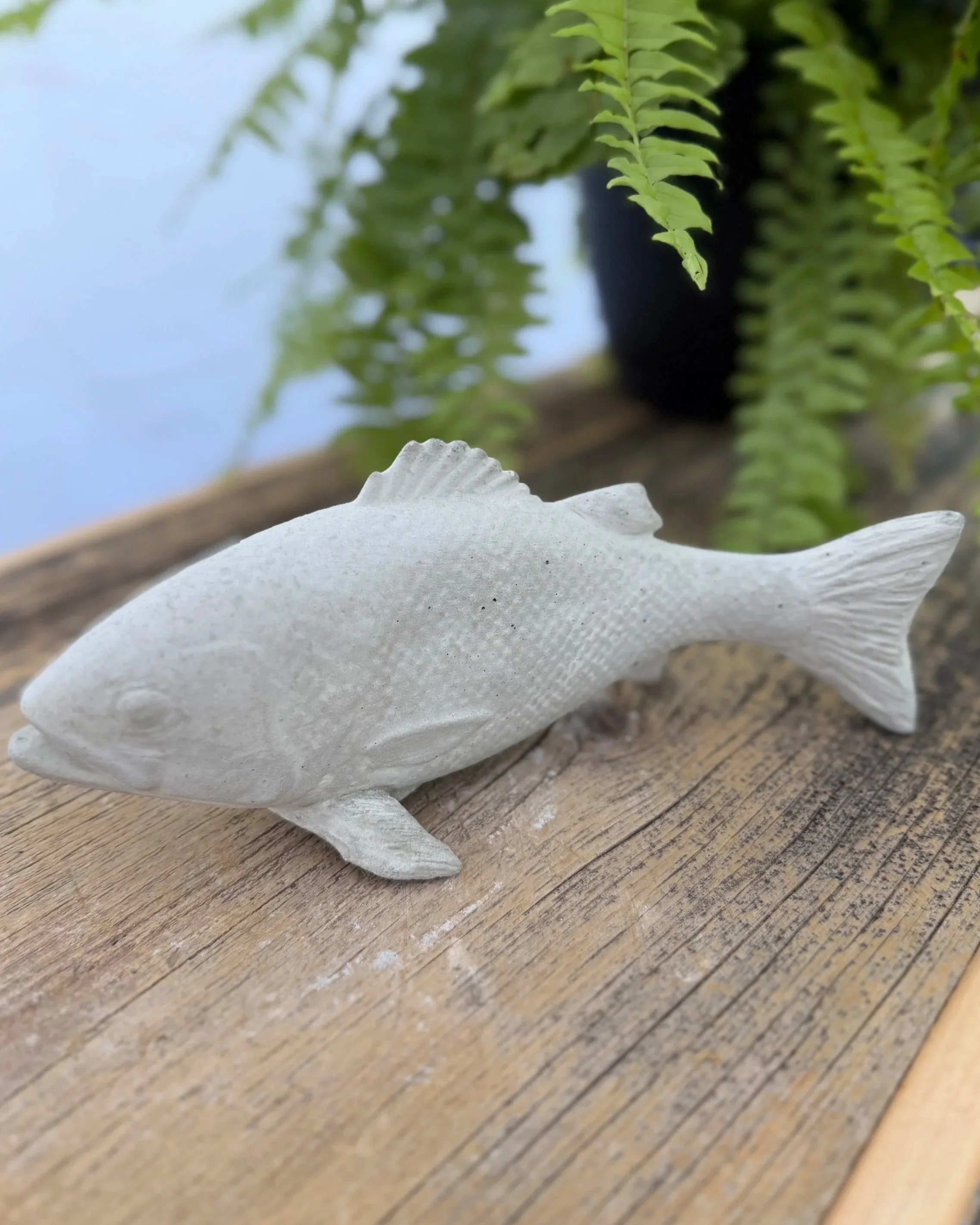 small fish