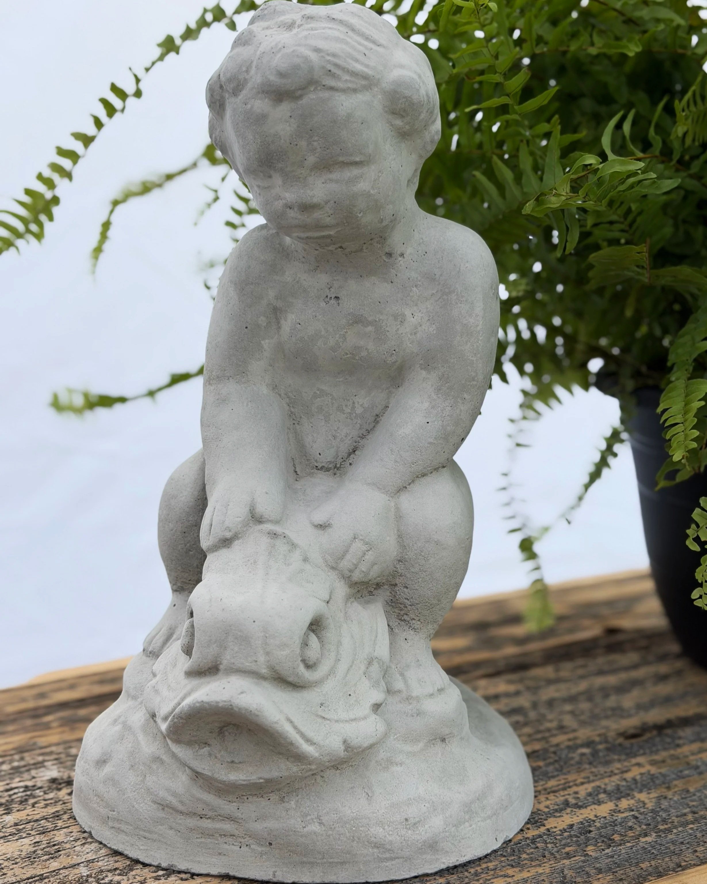 boy on fish