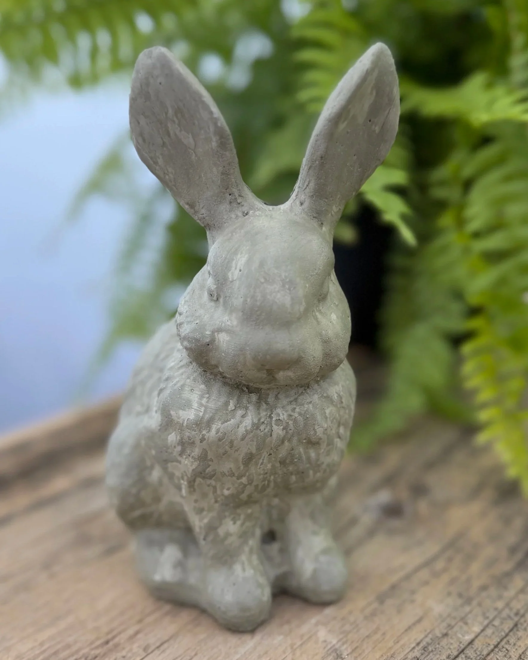 small sitting ears up rabbit