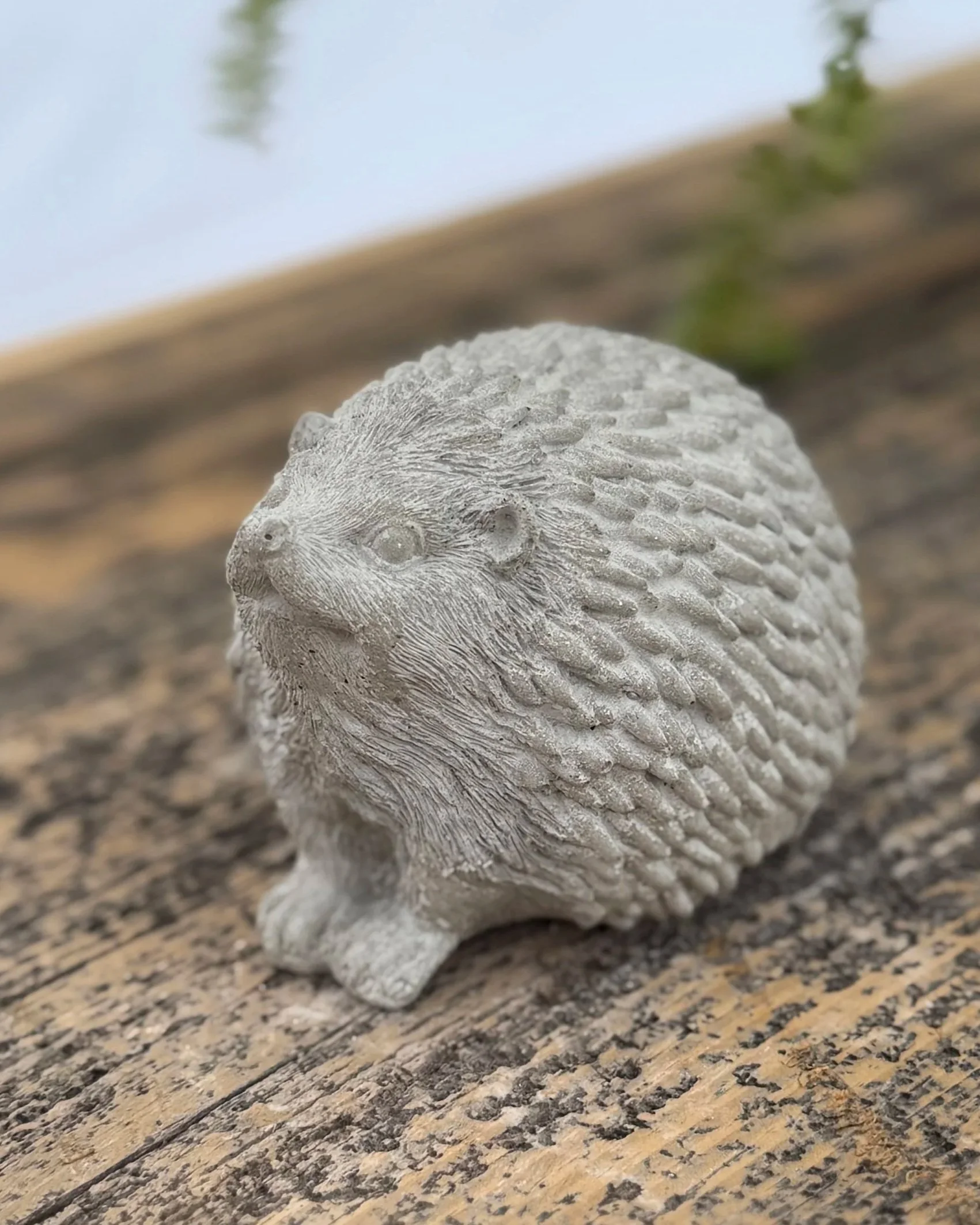 tiny hedgehog