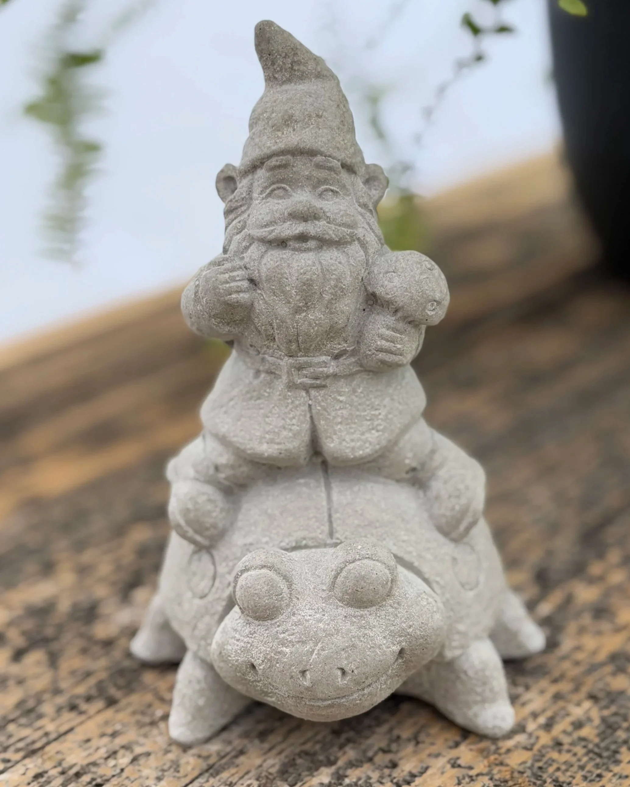 gnome riding ladybug
