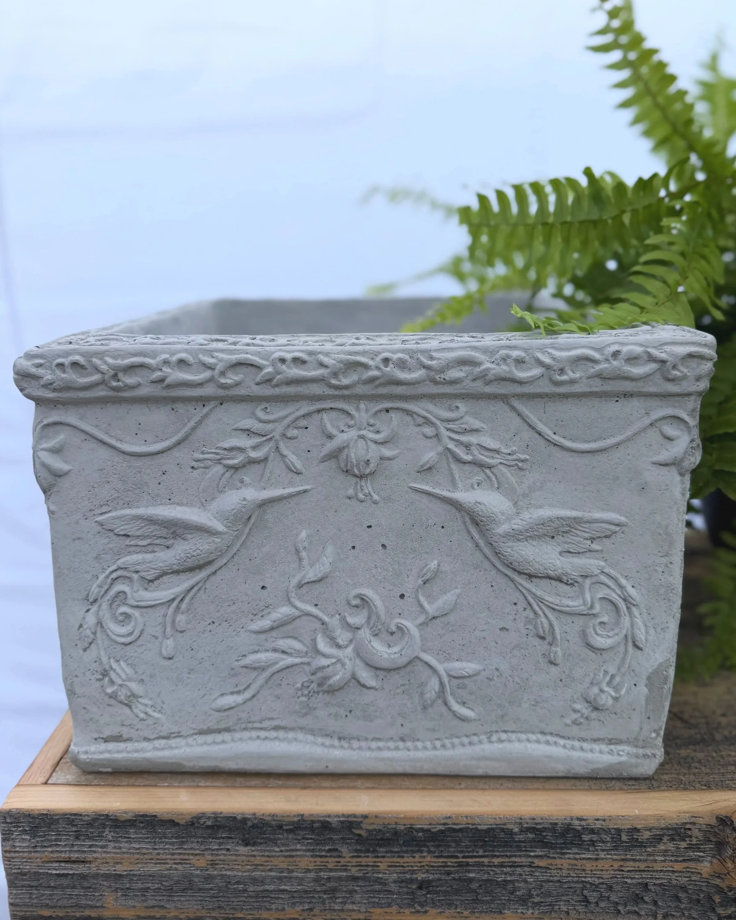square hummingbird planter