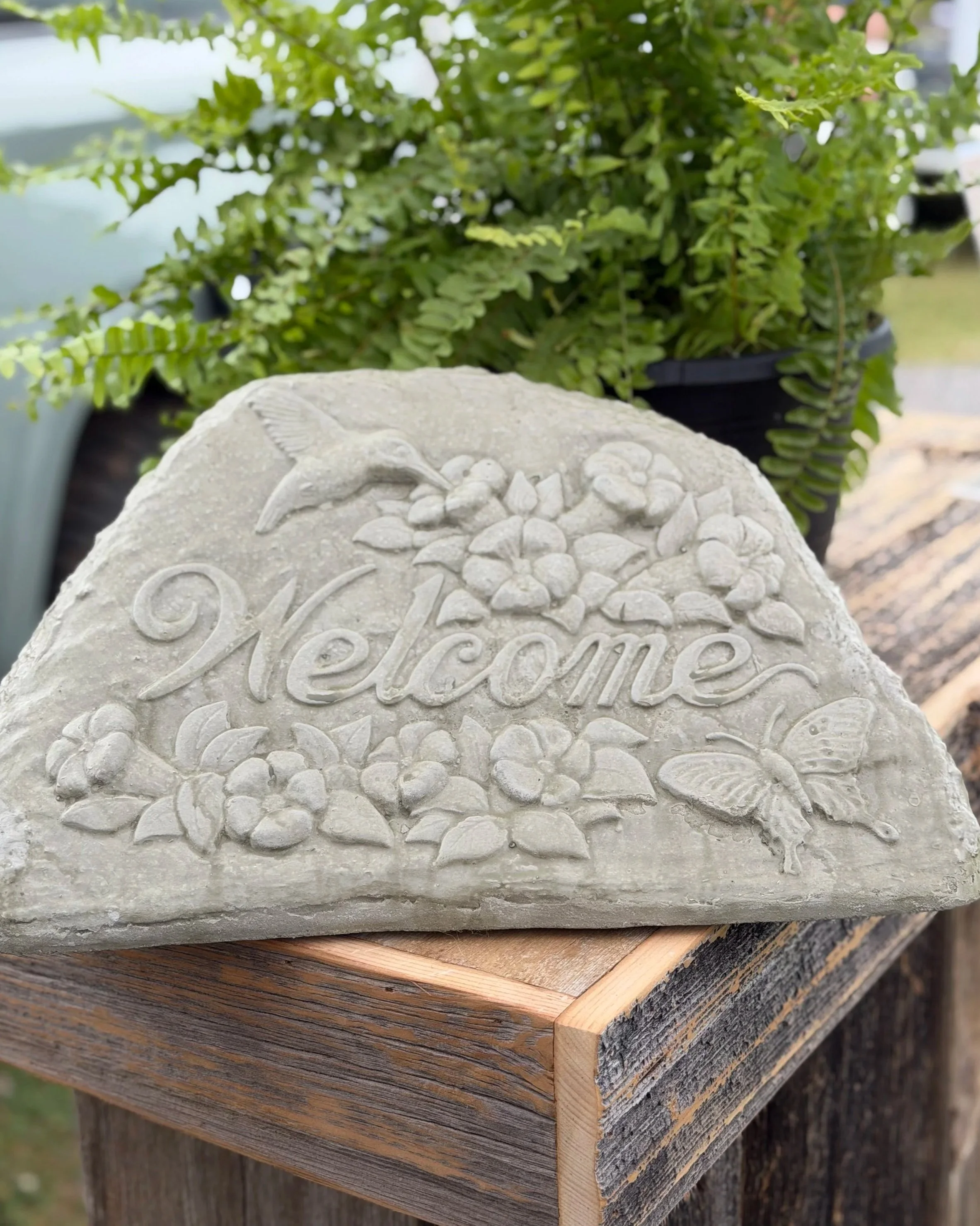 hummingbird welcome rock
