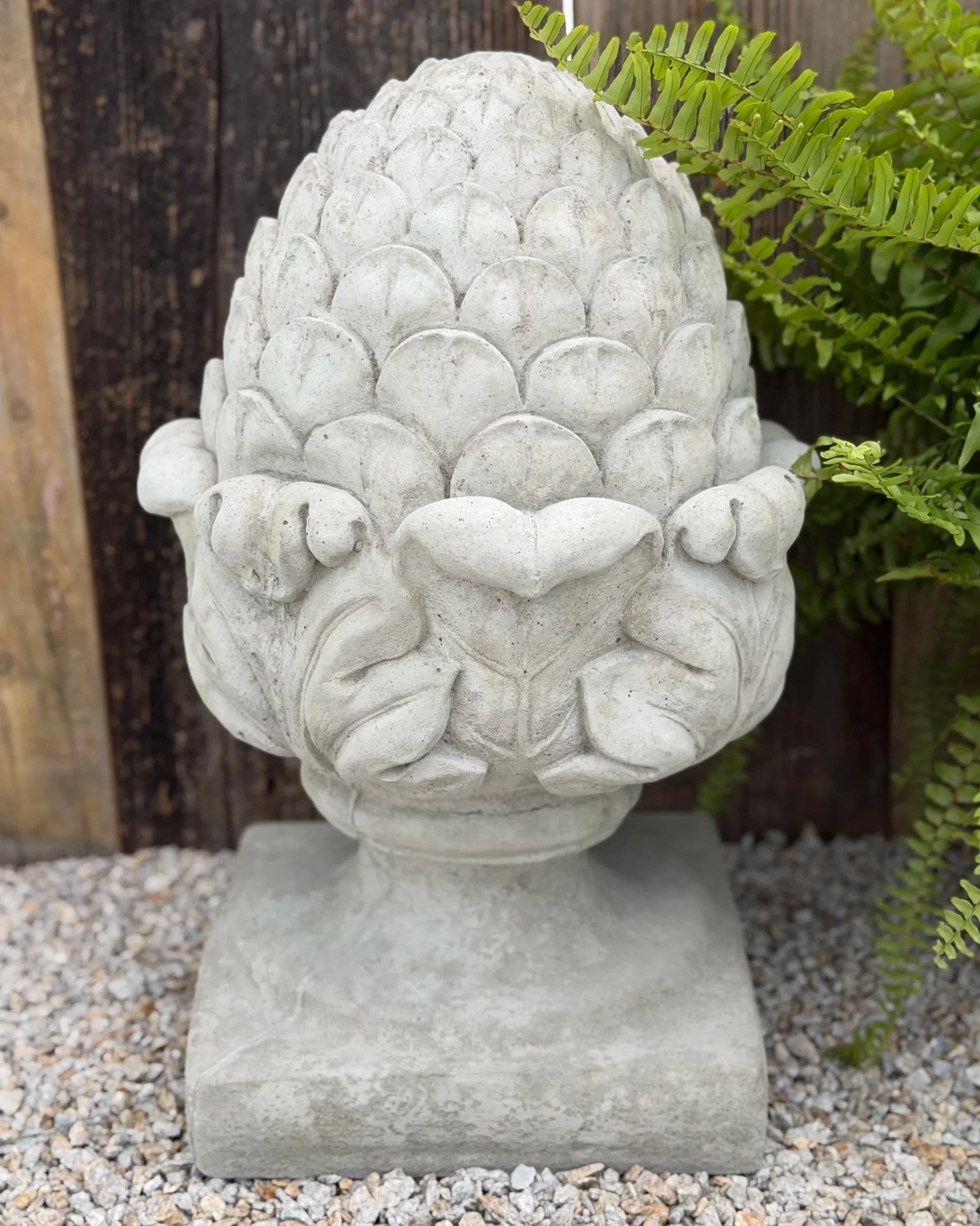 large fancy leaf pineapple