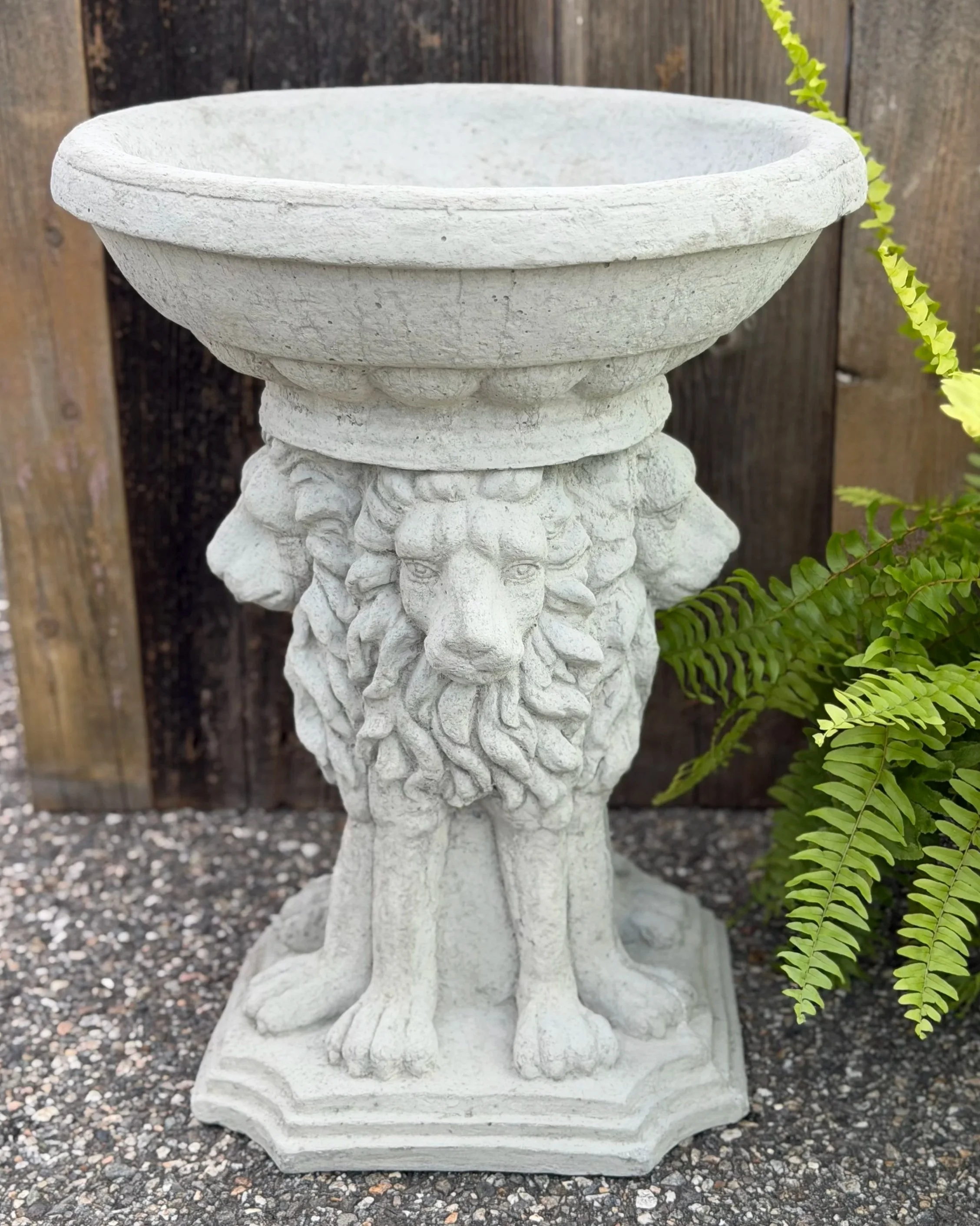 lion bird bath