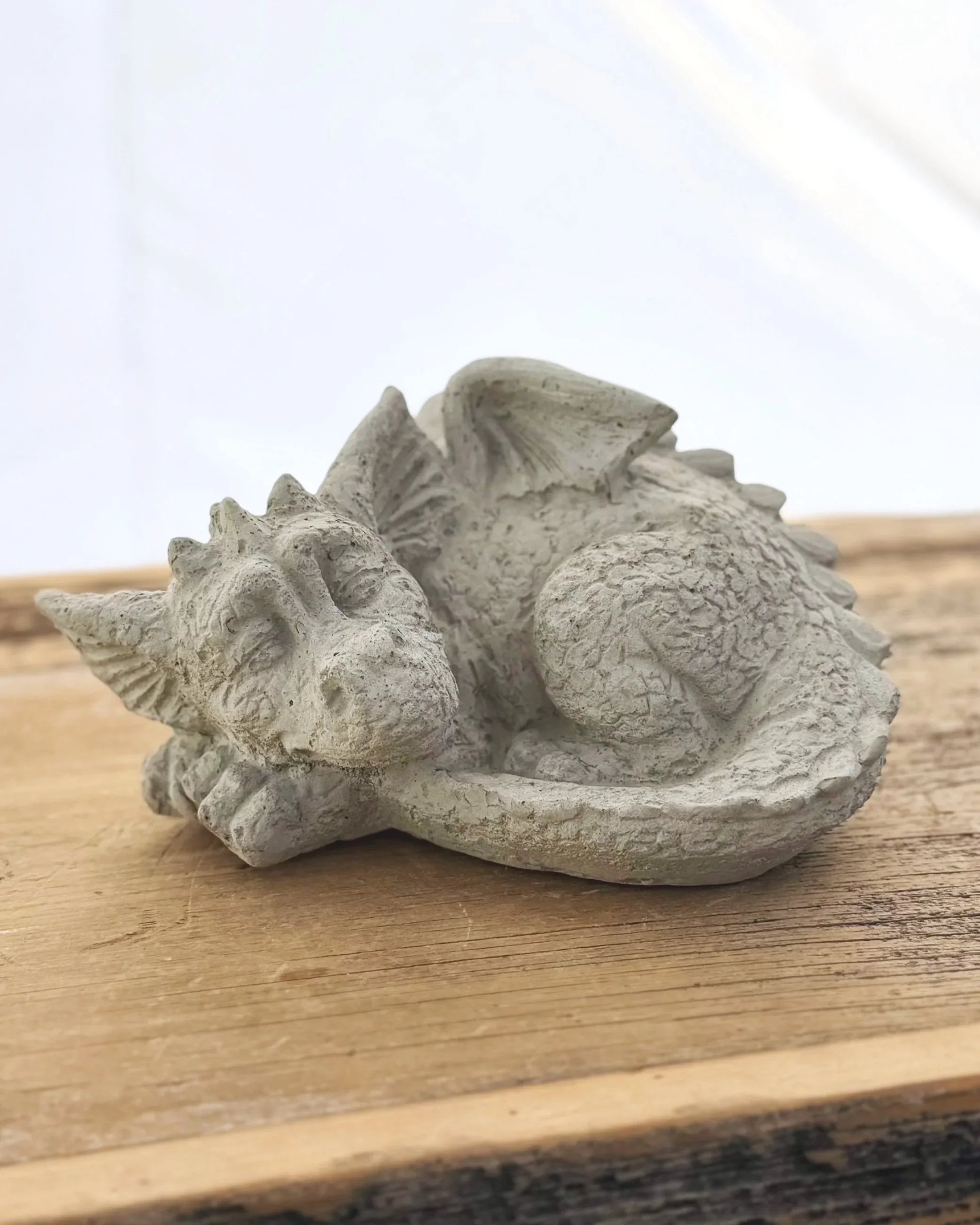 small sleeping dragon
