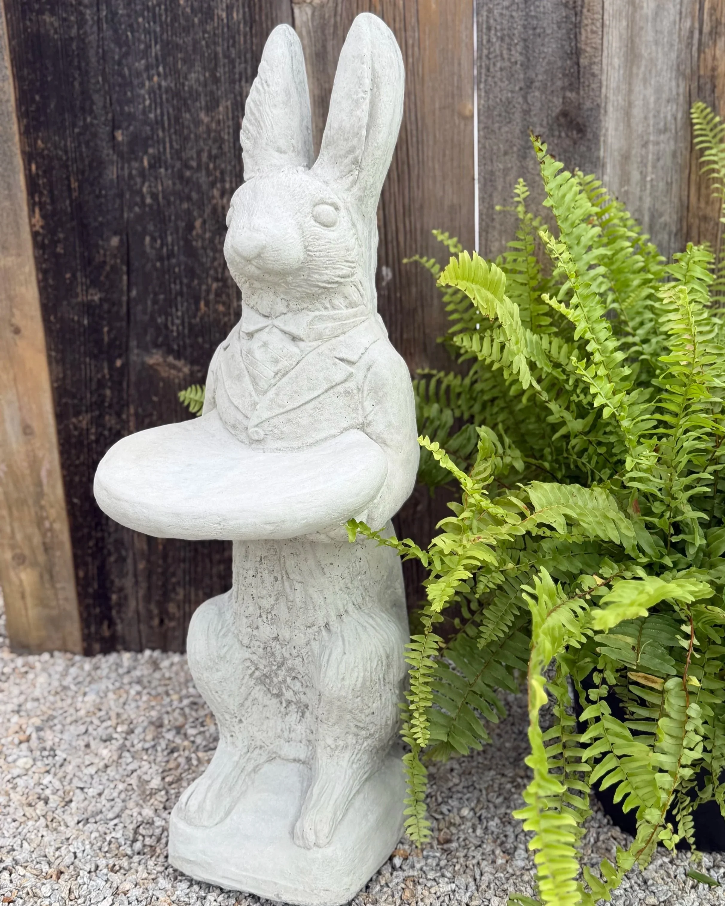 tuxedo rabbit