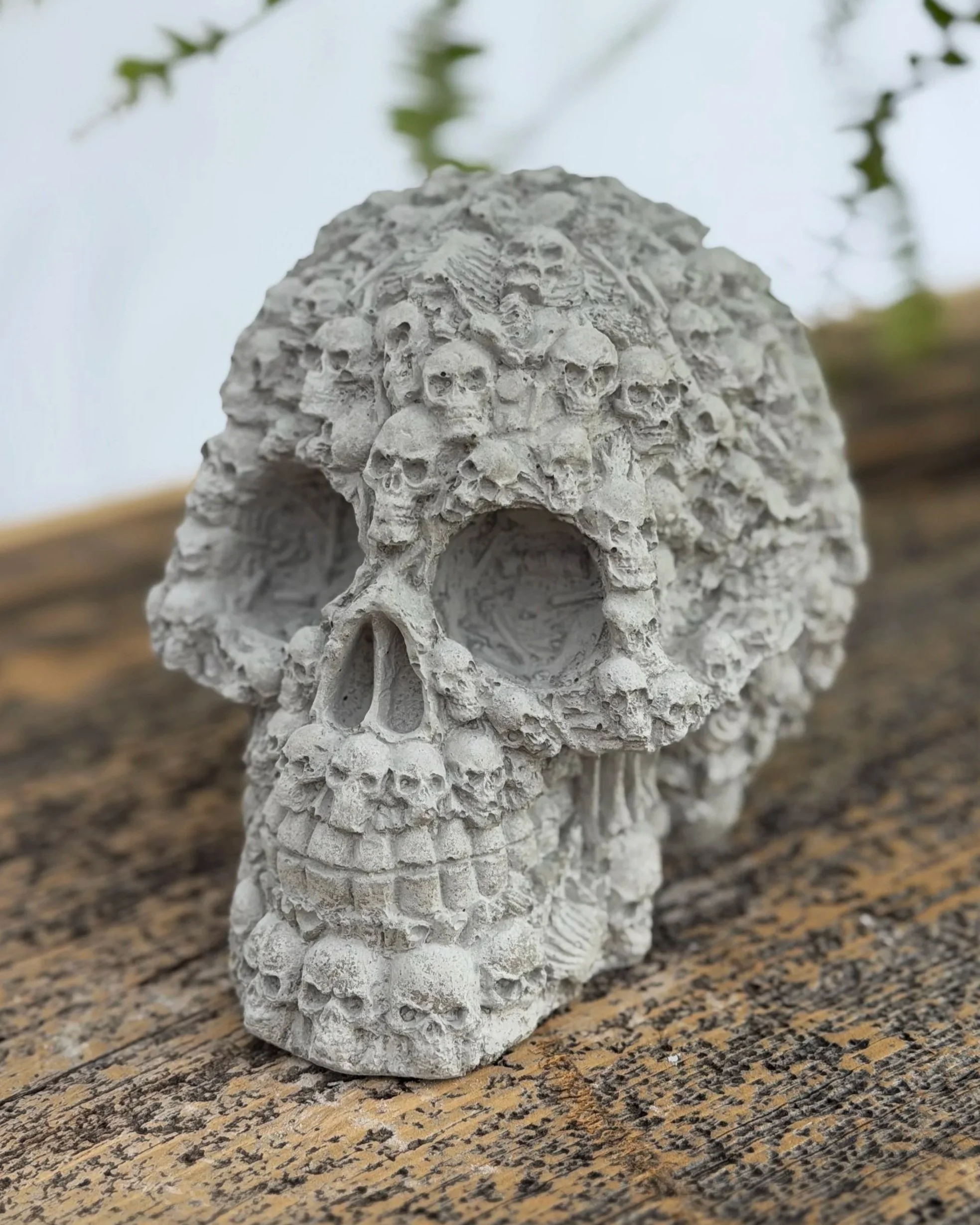 skeleton skull