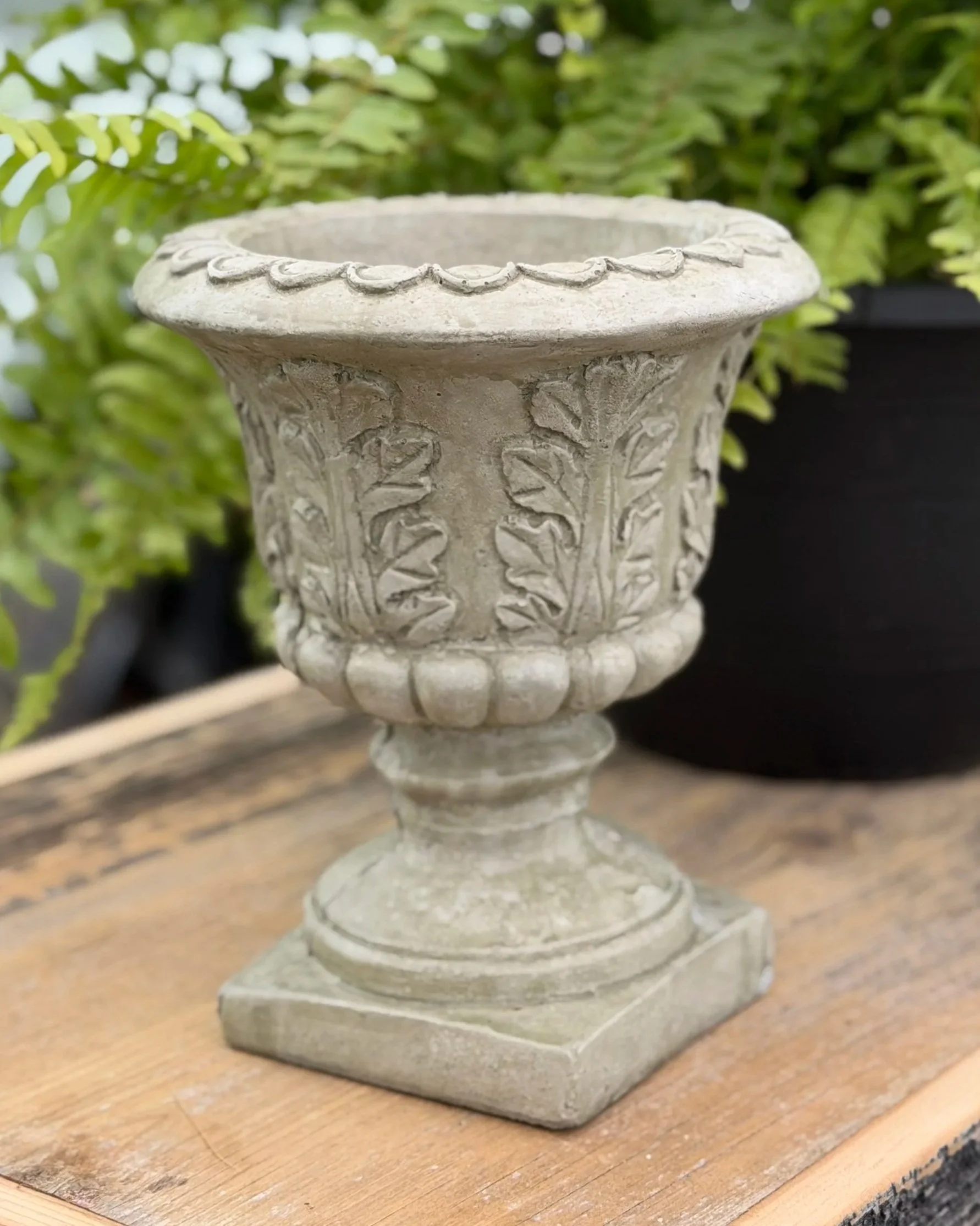 small leaf planter