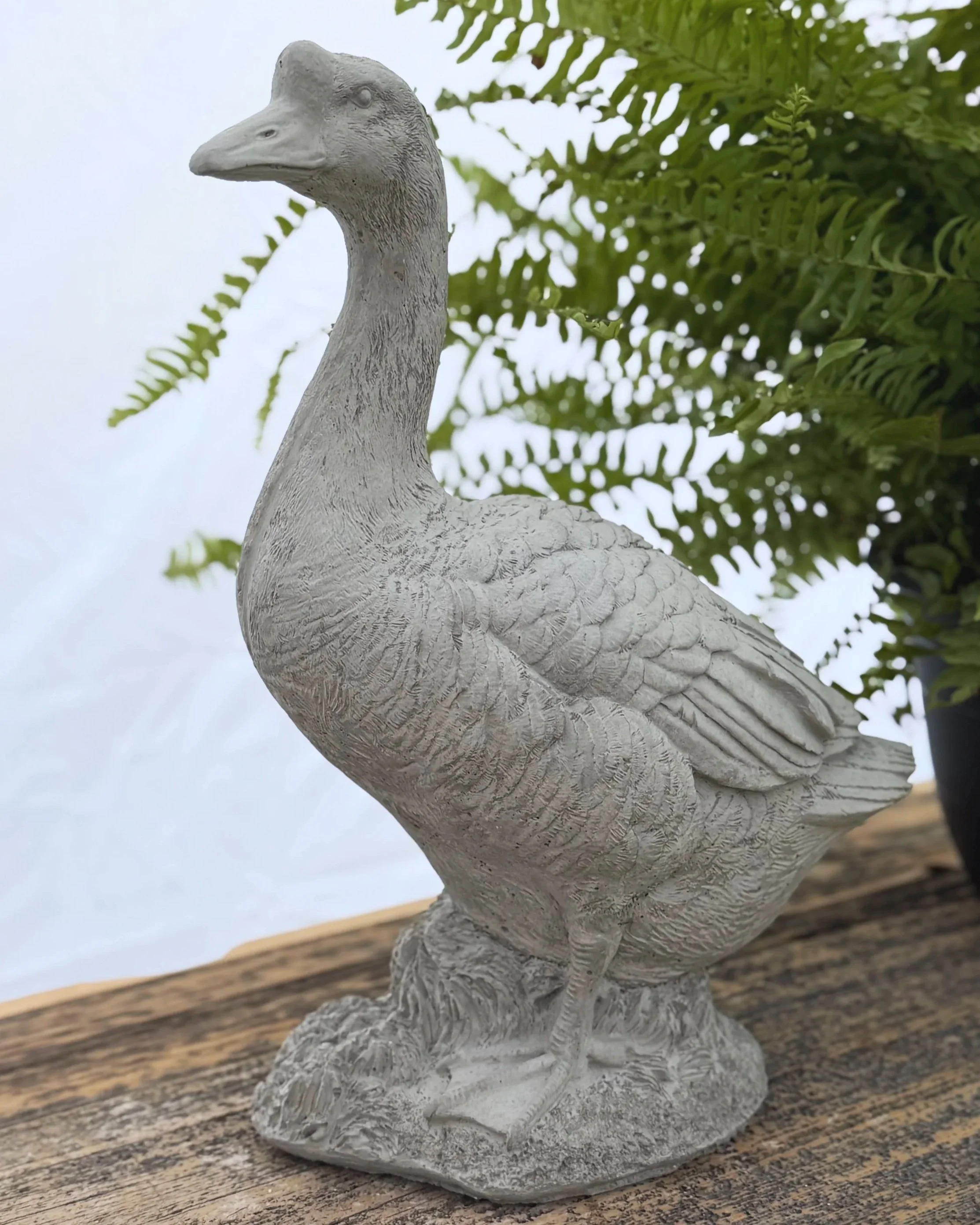 goose realistic