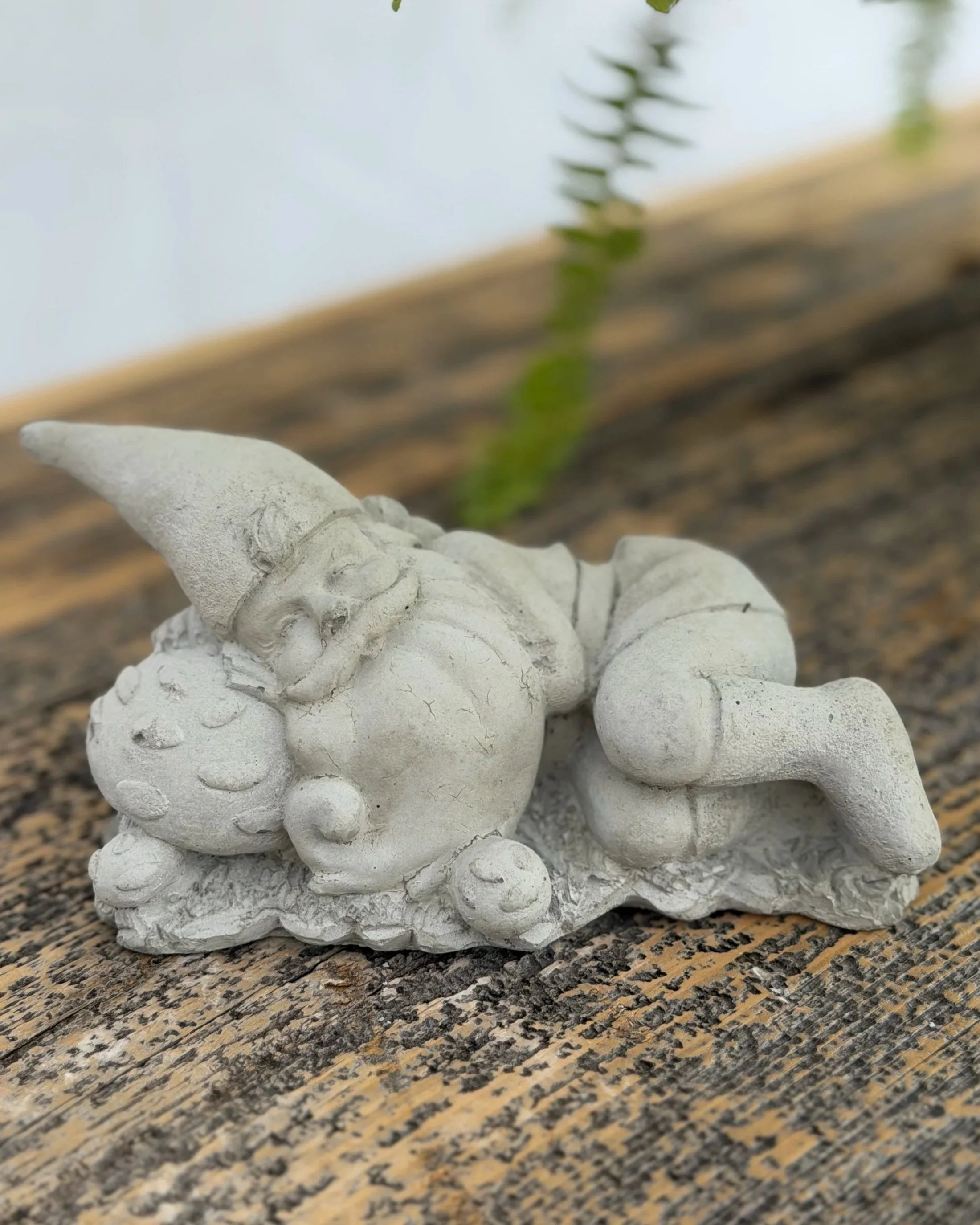 napping gnome