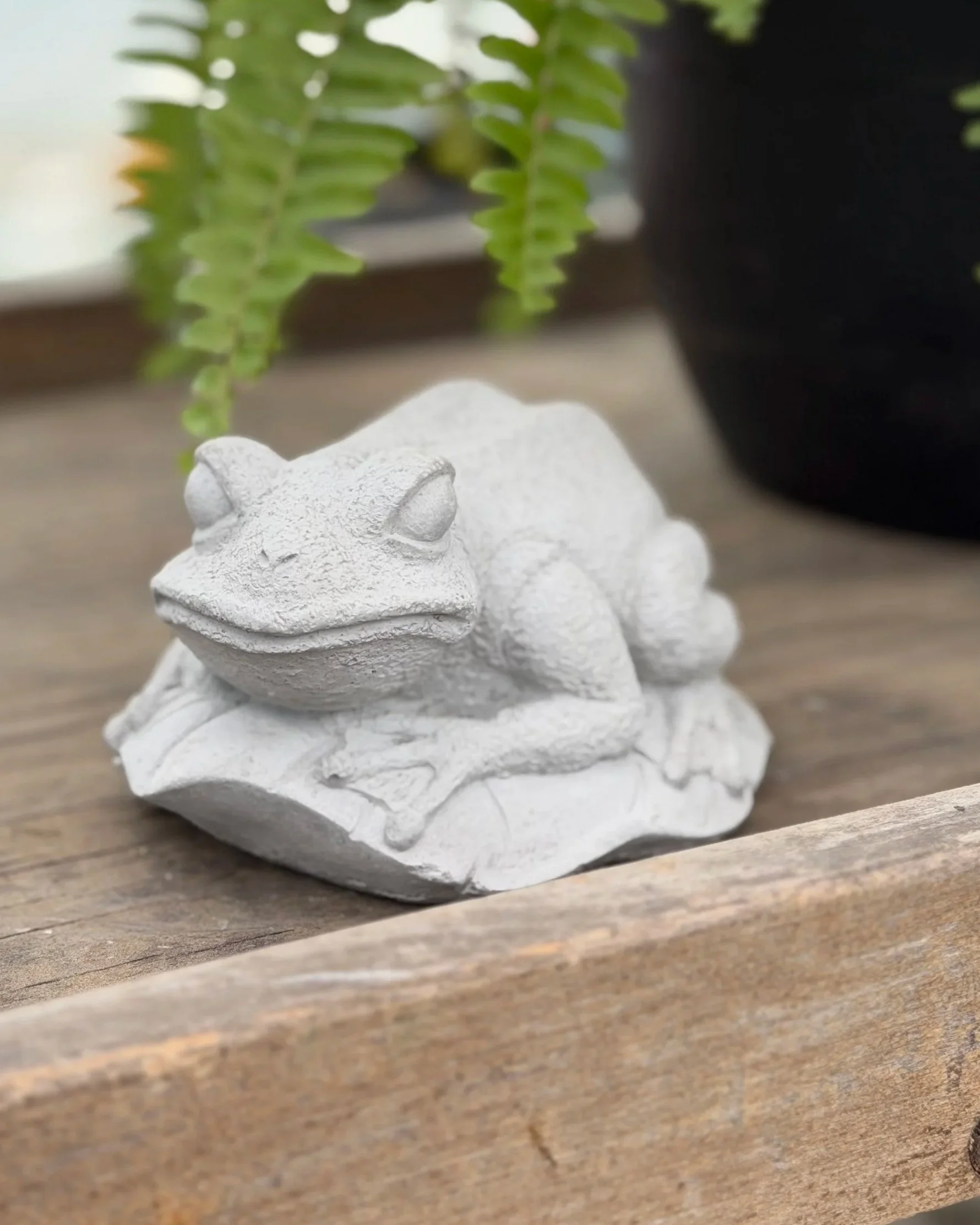small frog on lily pad