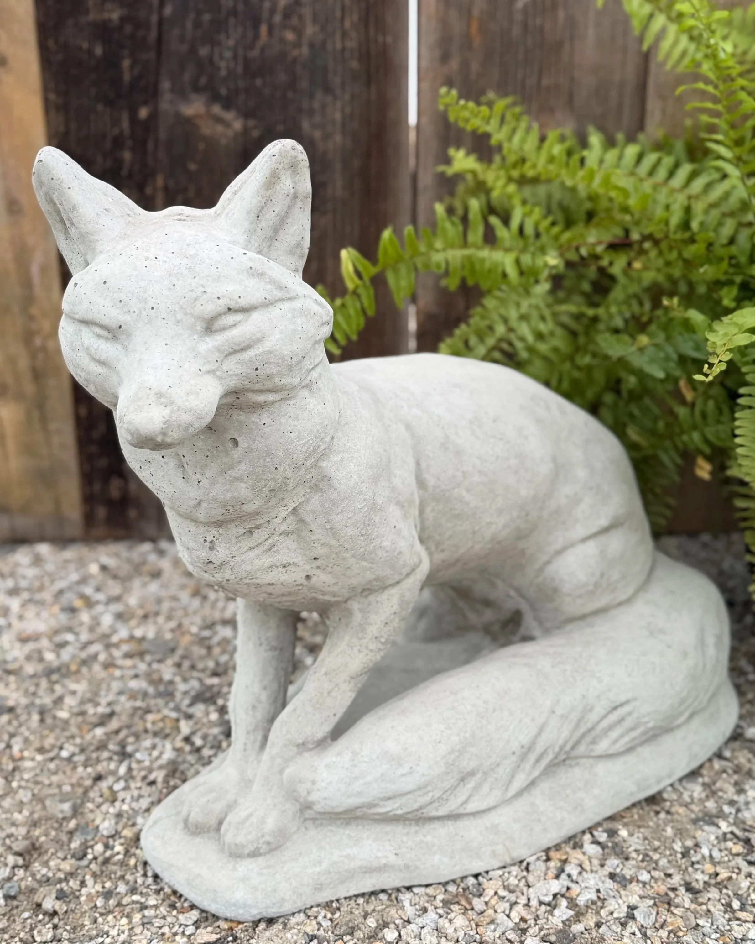 large sitting fox
