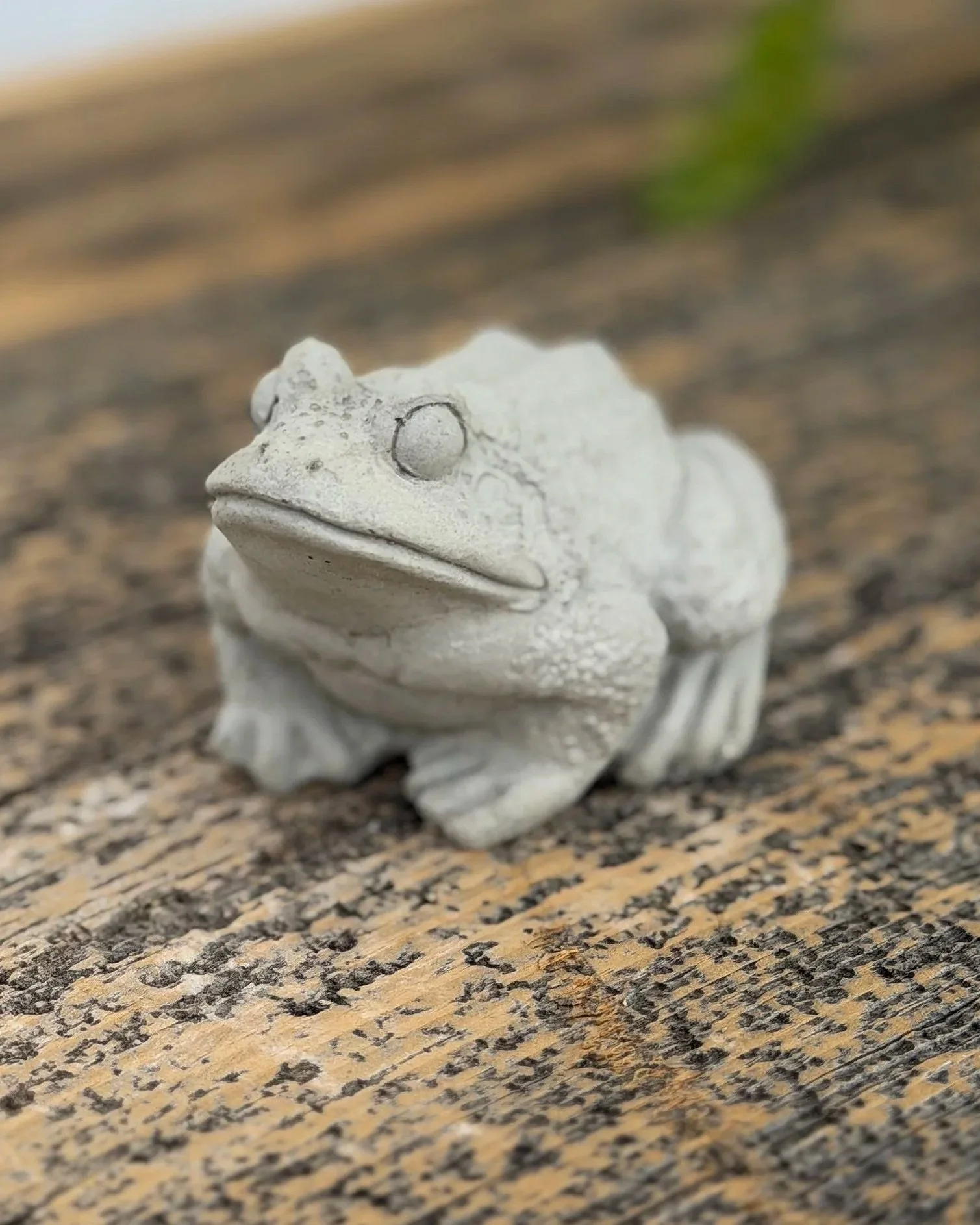 tiny frog