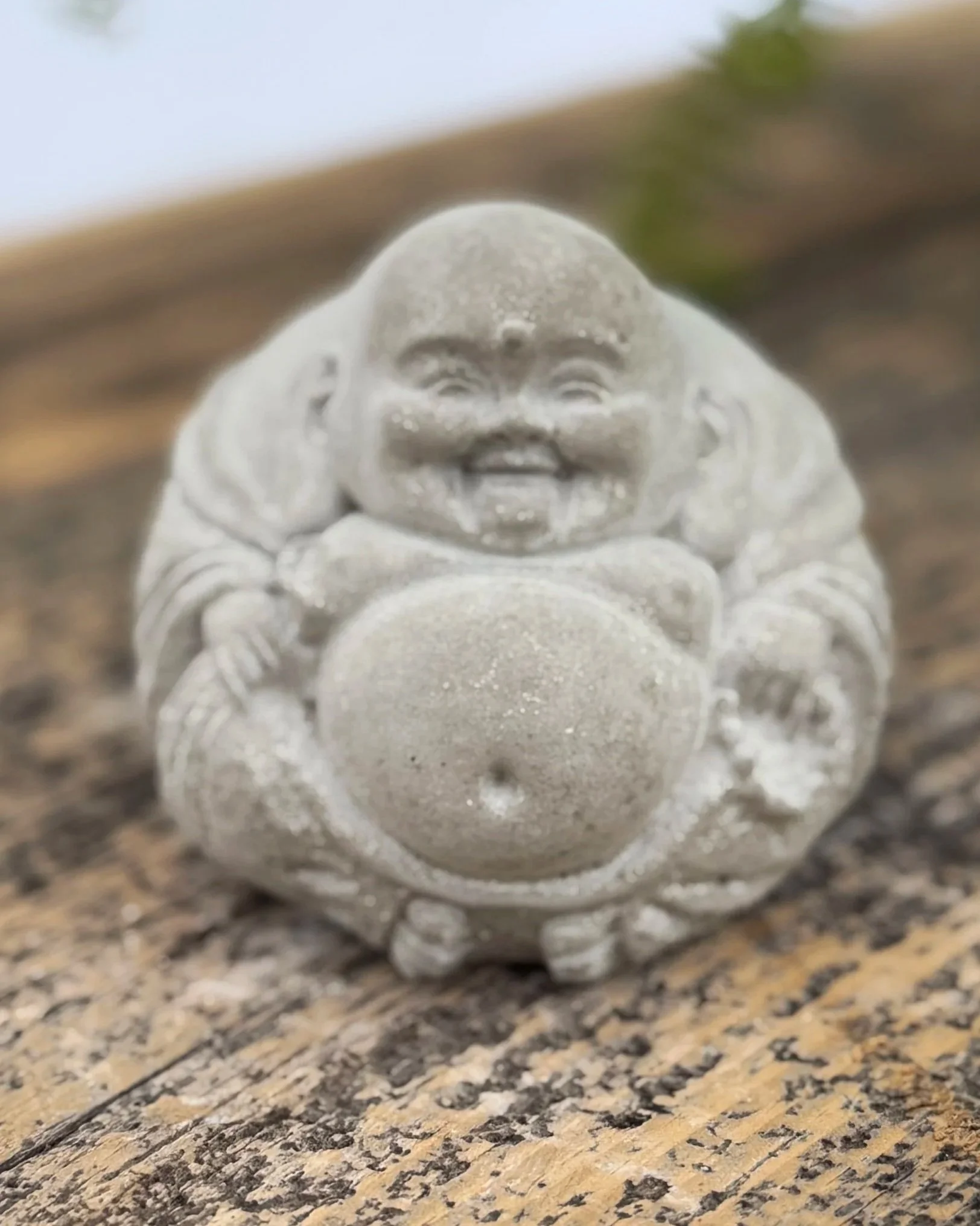 tiny Buddha