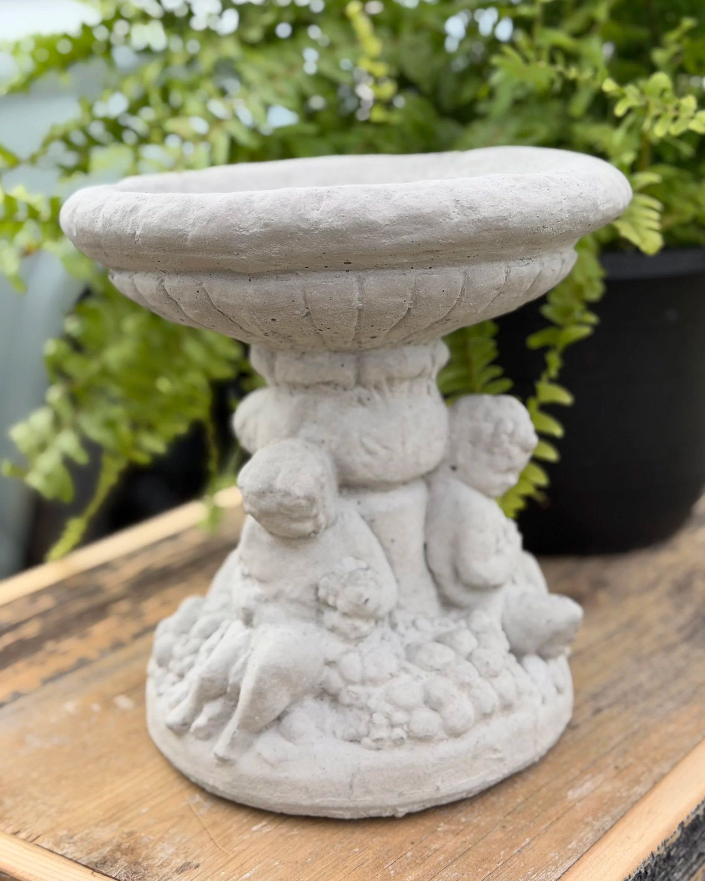 small cherub bird bath