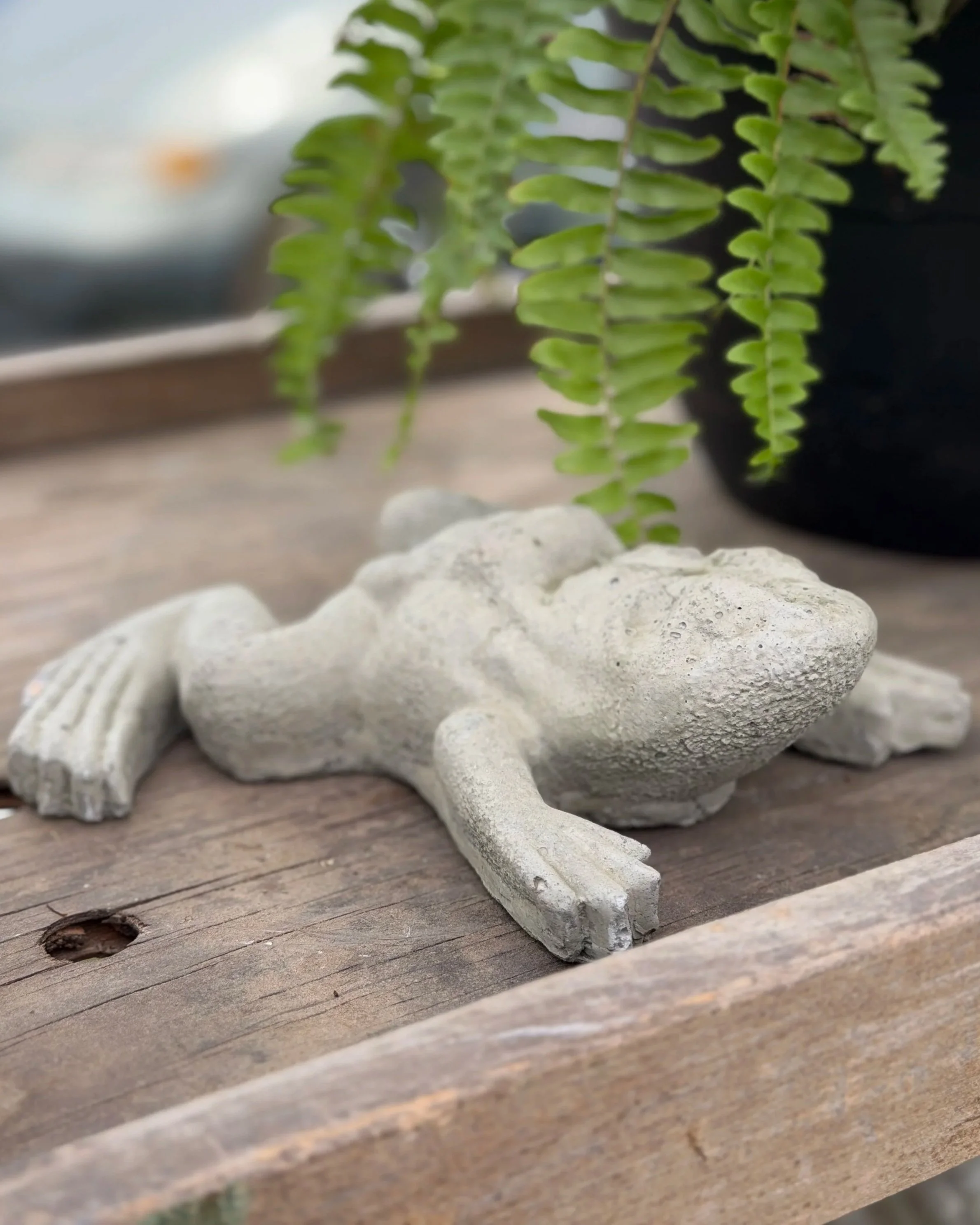 frog laying flat