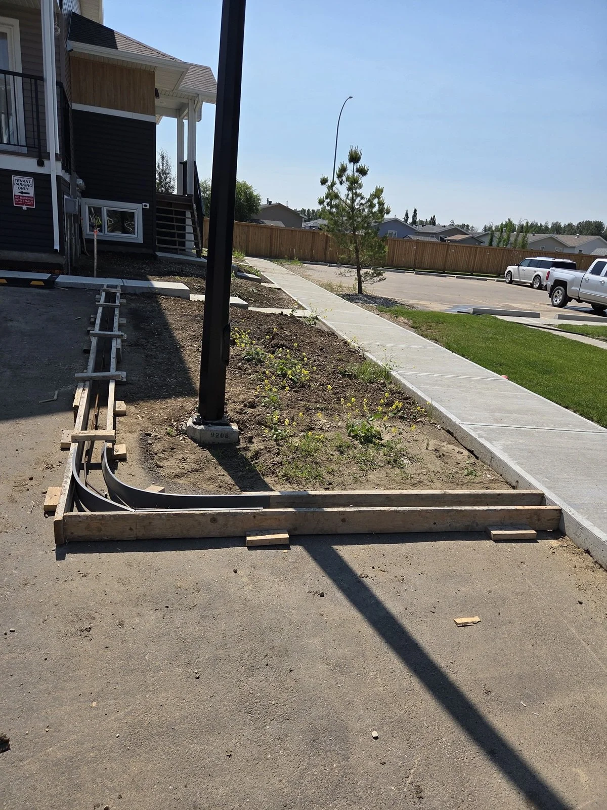 Construction of a sidewalk and landscaping work in a residential area. A paved sidewalk runs alongside a building, with a small tree and some plants being planted in the soil. Construction materials and equipment are visible on the ground.